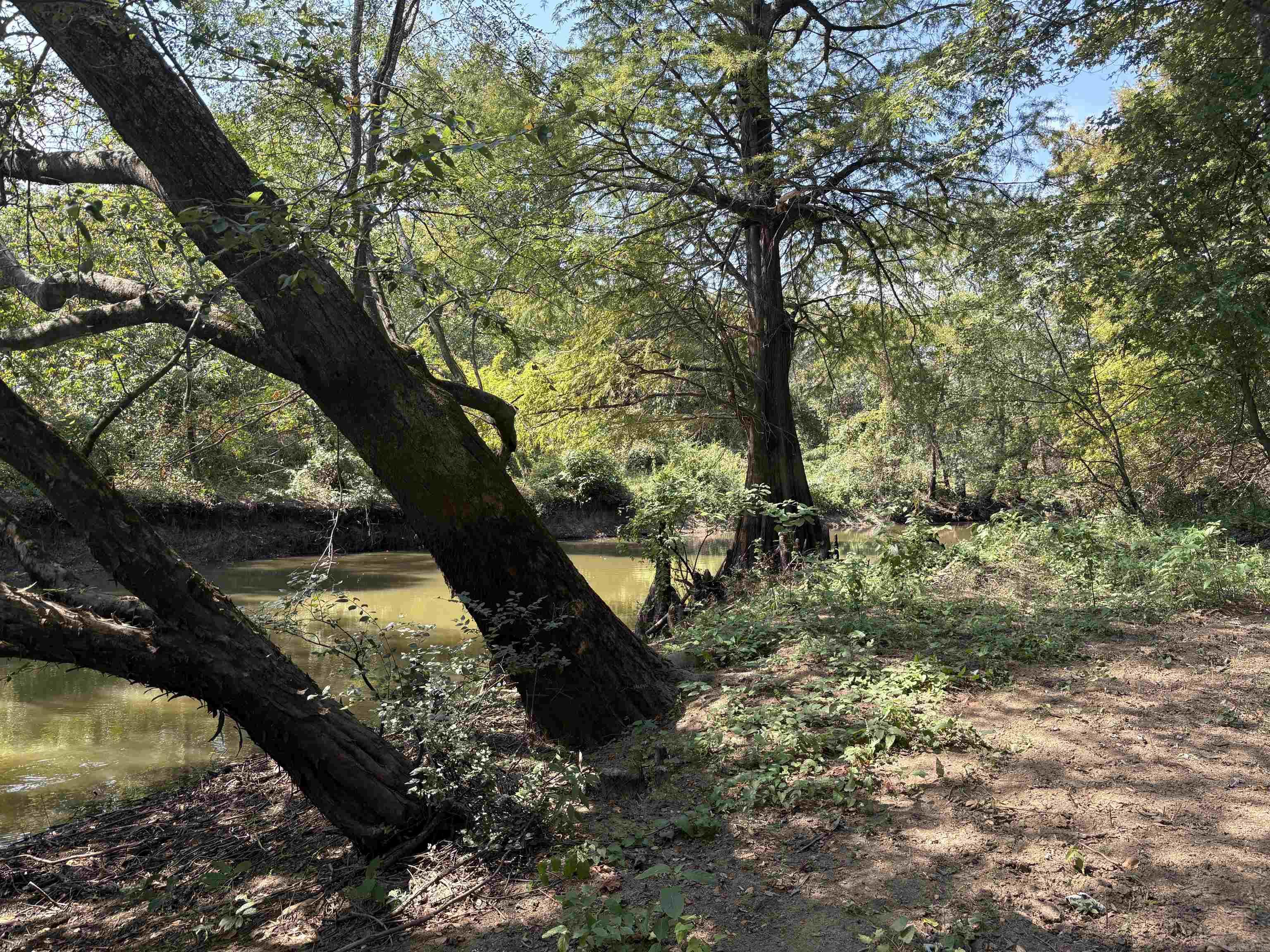 1982 Jackson 315 Bradford, AR 72020