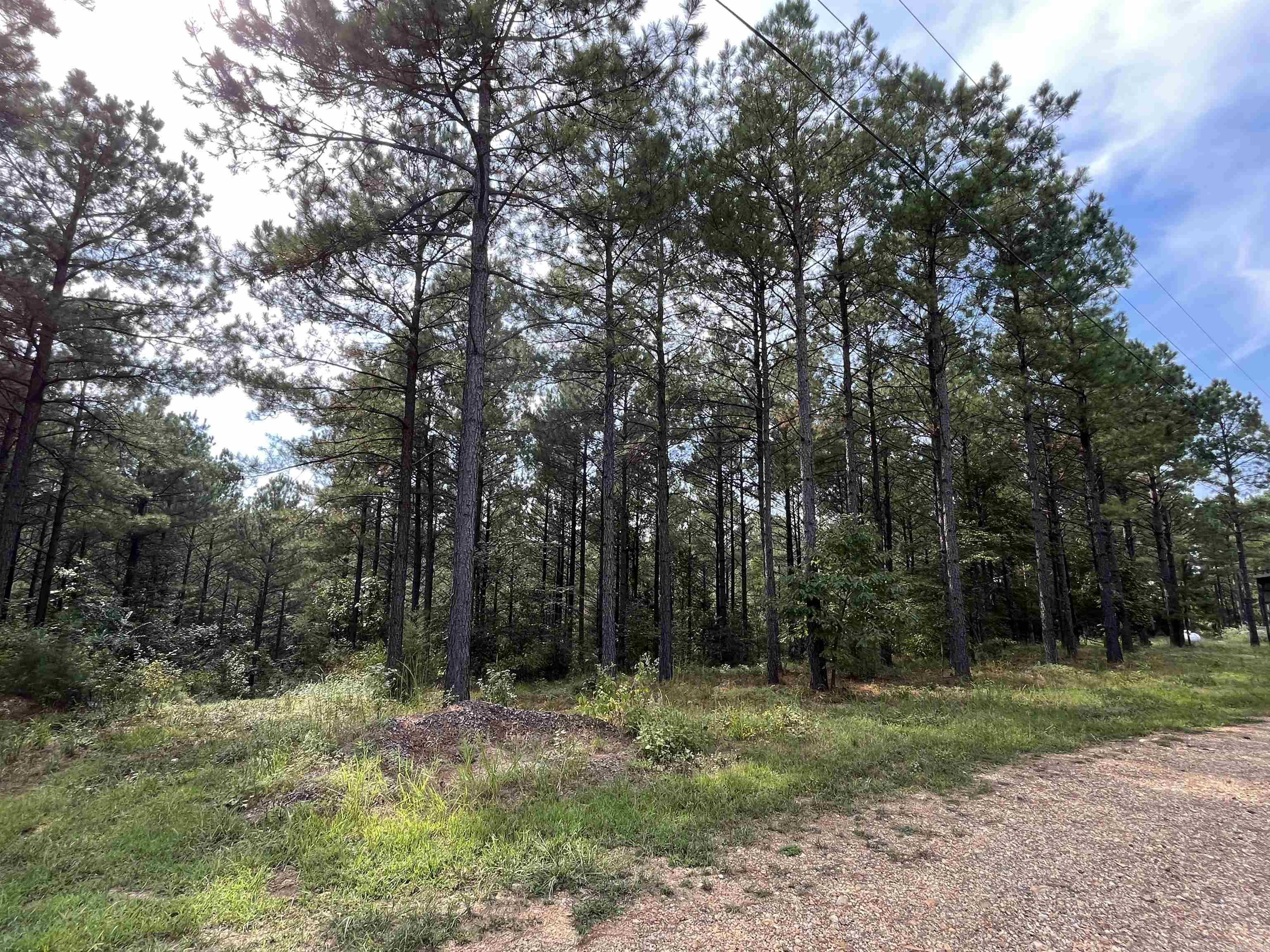 84 N Old Factory Site  Murfreesboro, AR