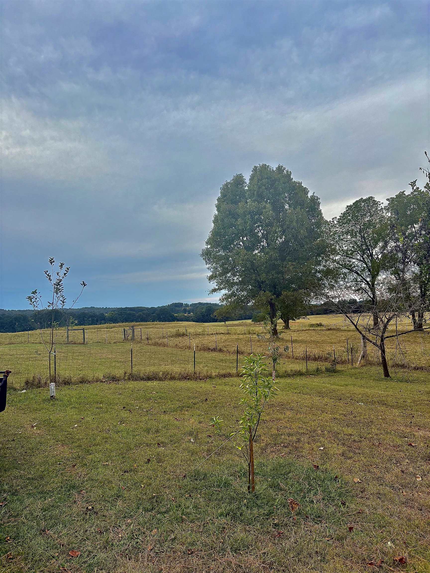 782 Sidney  Sidney, AR