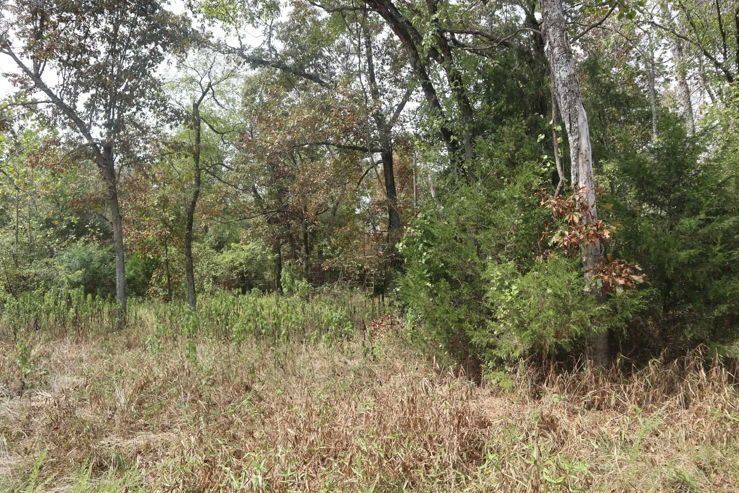 253 Coyote Rd  Salem, AR