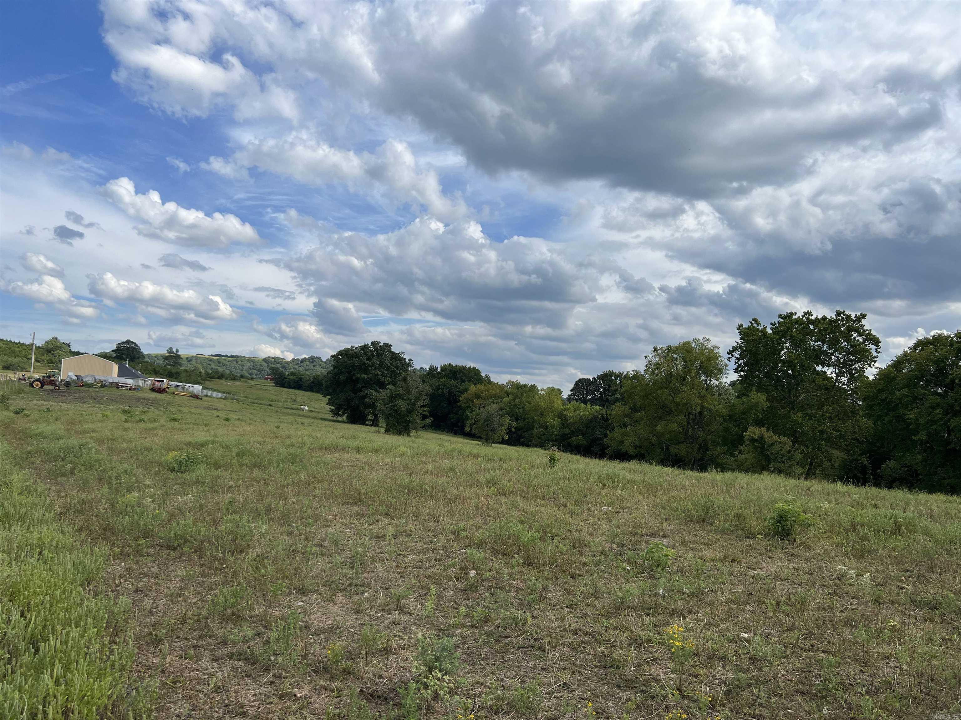 307 Whitetail  Harrison, AR