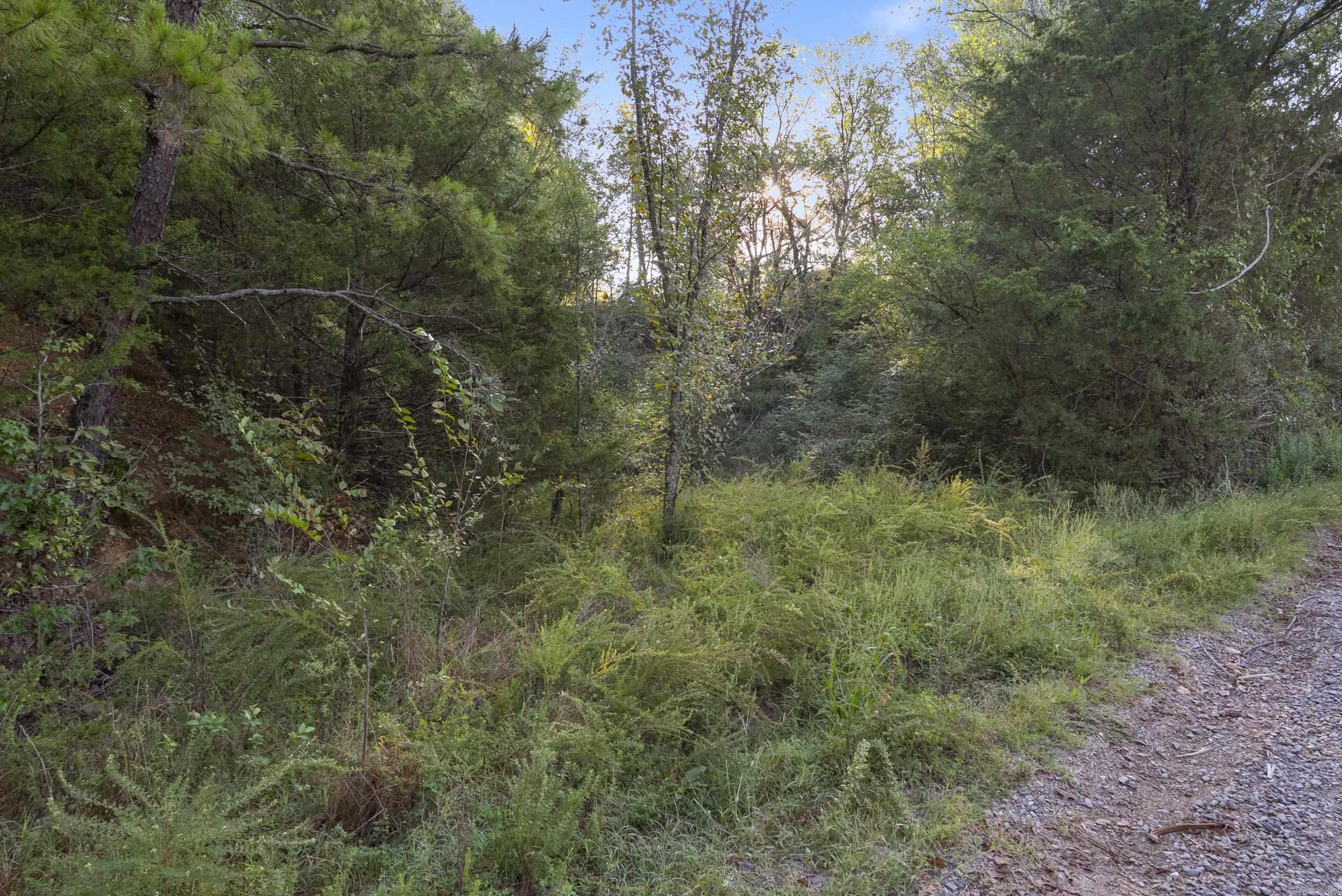 750 Mountain  Perryville, AR