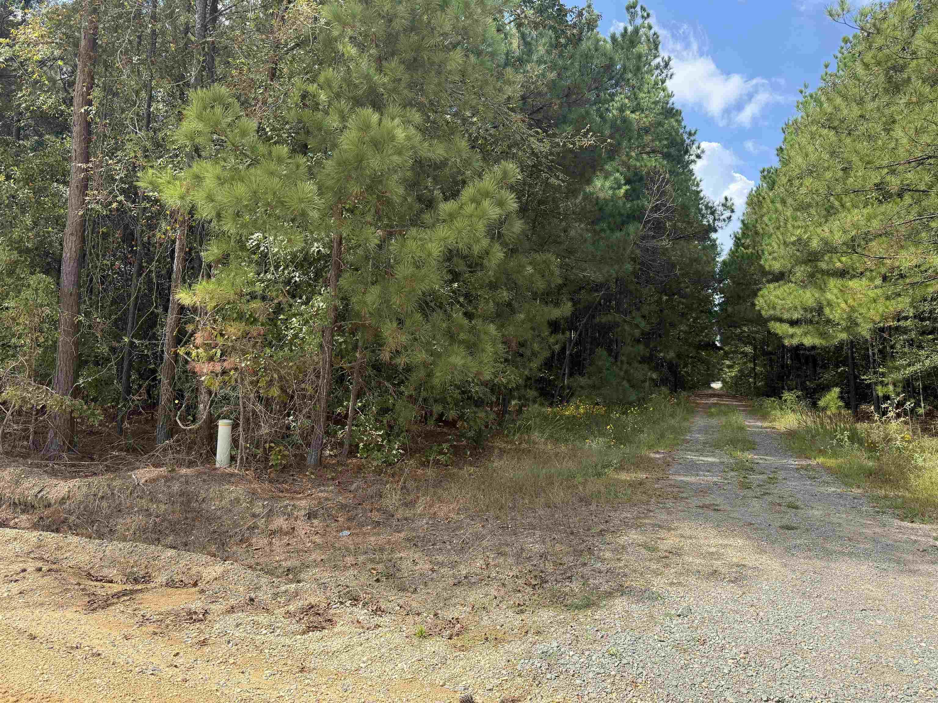 286 Bradley 68  Warren, AR