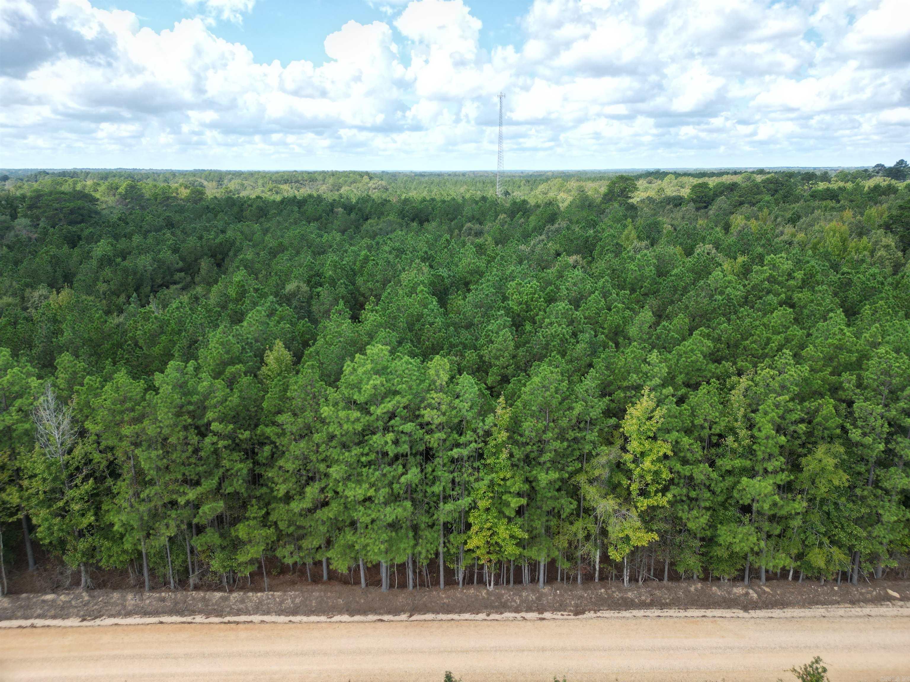 286 Bradley 68  Warren, AR