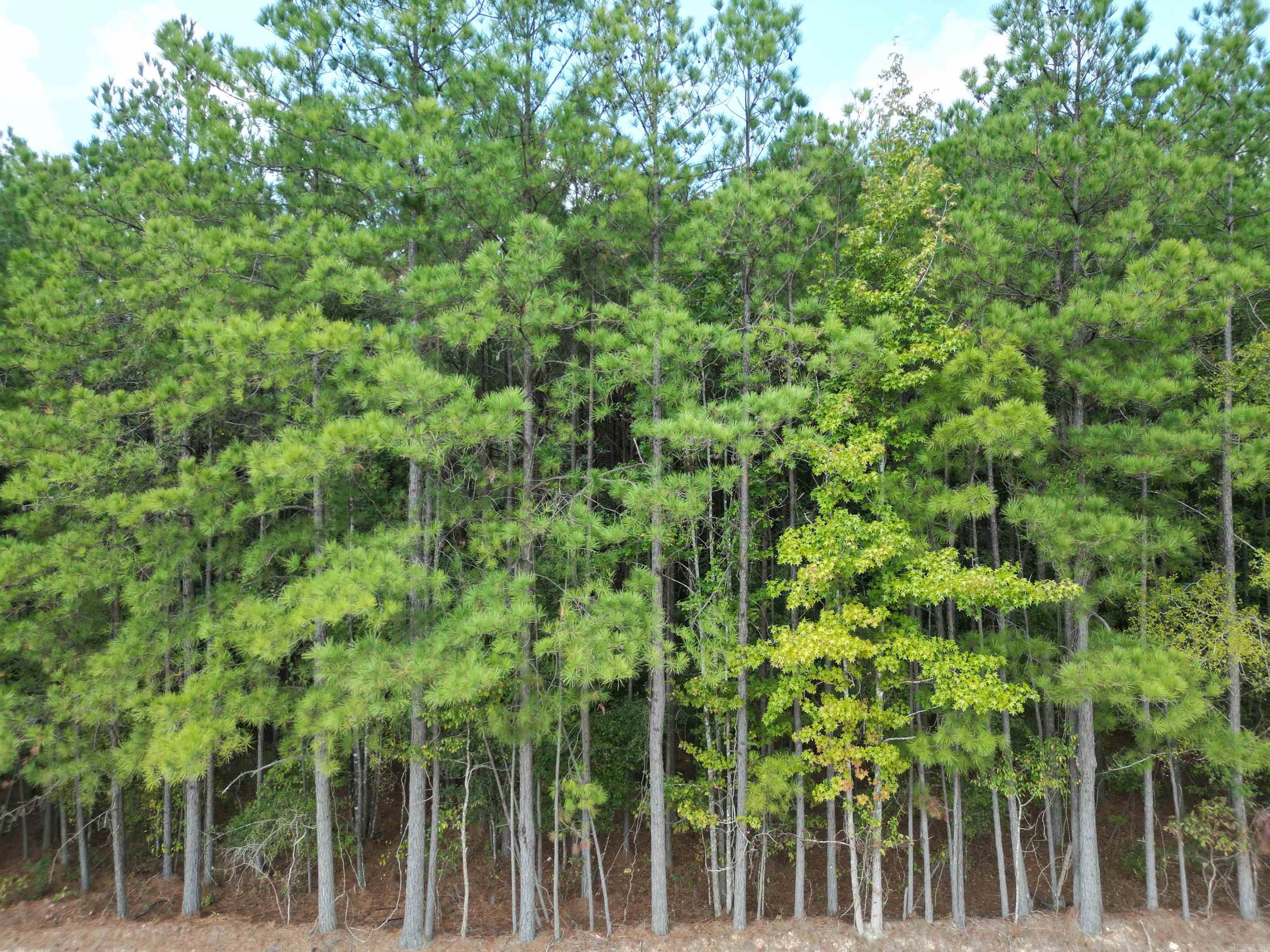 286 Bradley 68  Warren, AR