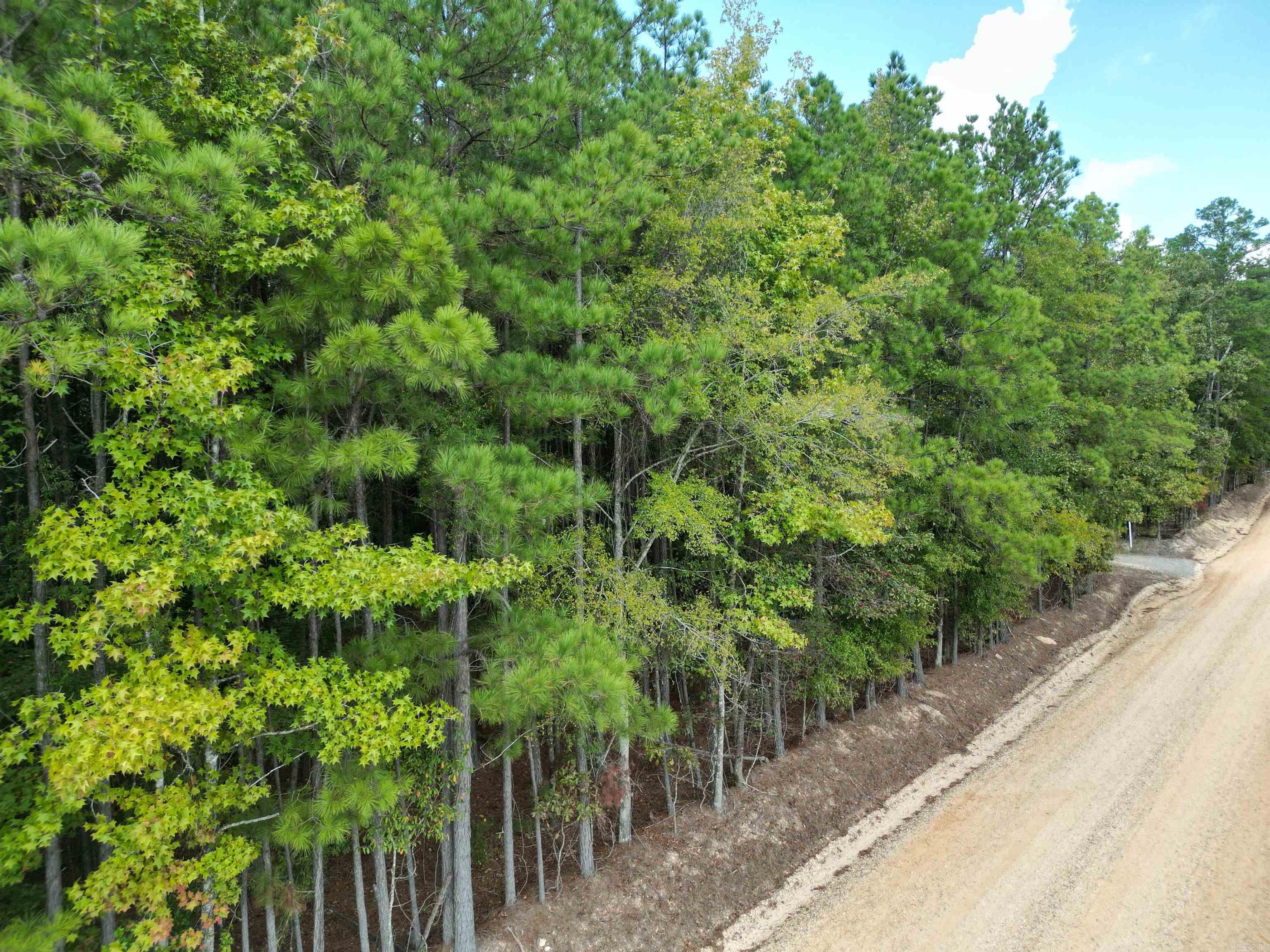 286 Bradley 68  Warren, AR