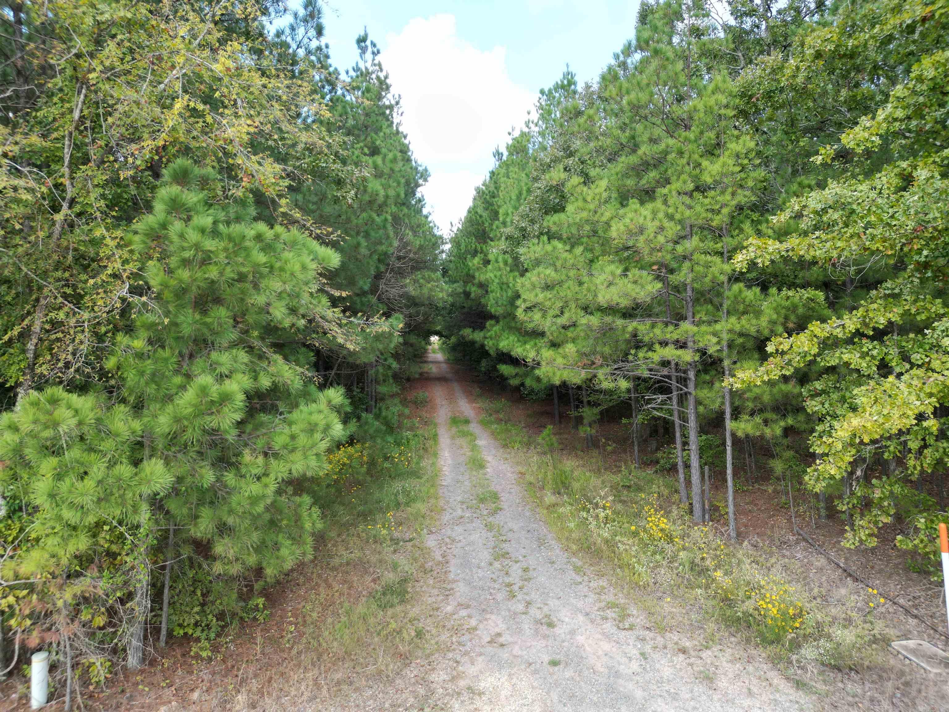 286 Bradley 68  Warren, AR