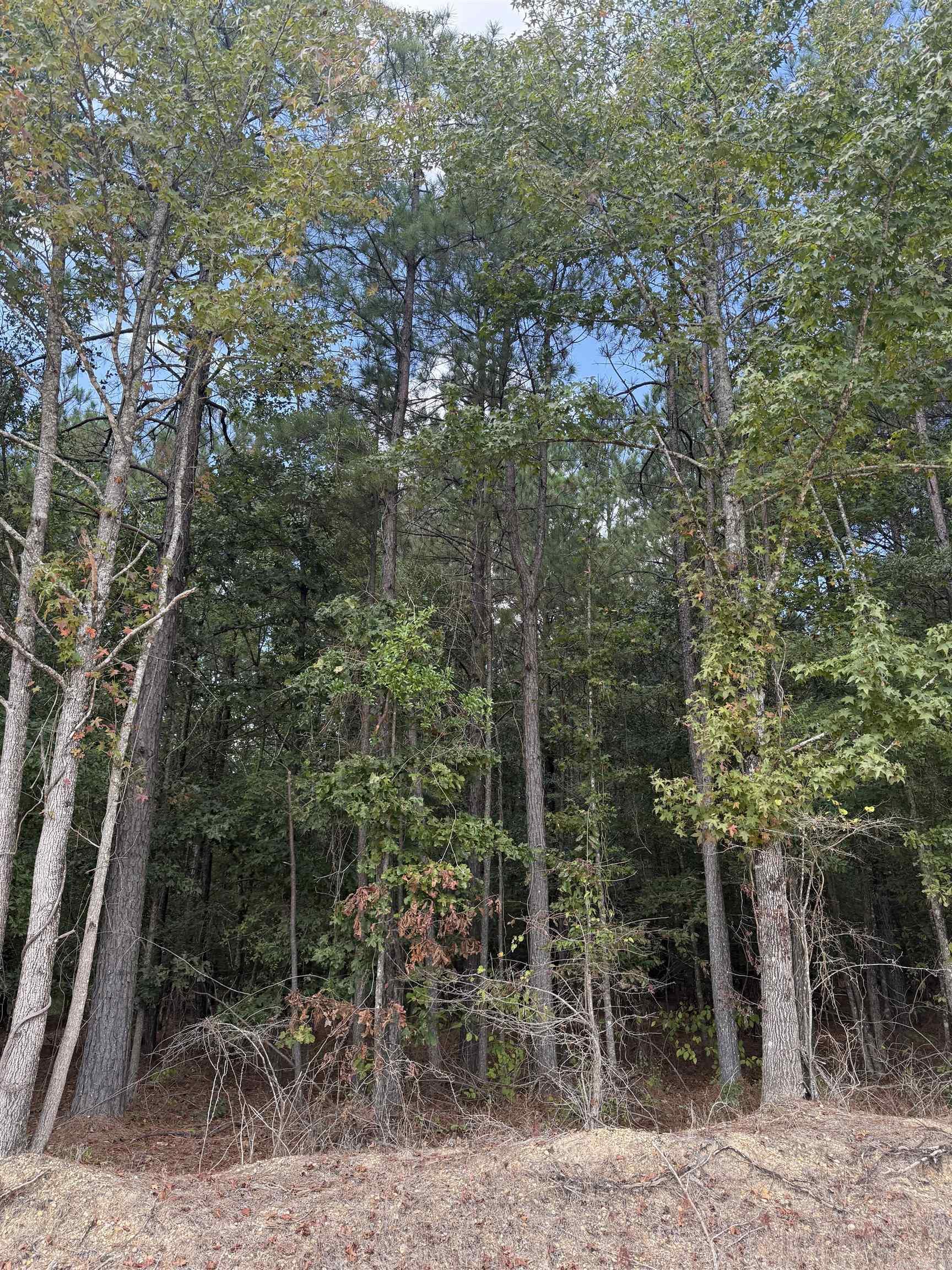 286 Bradley 68  Warren, AR