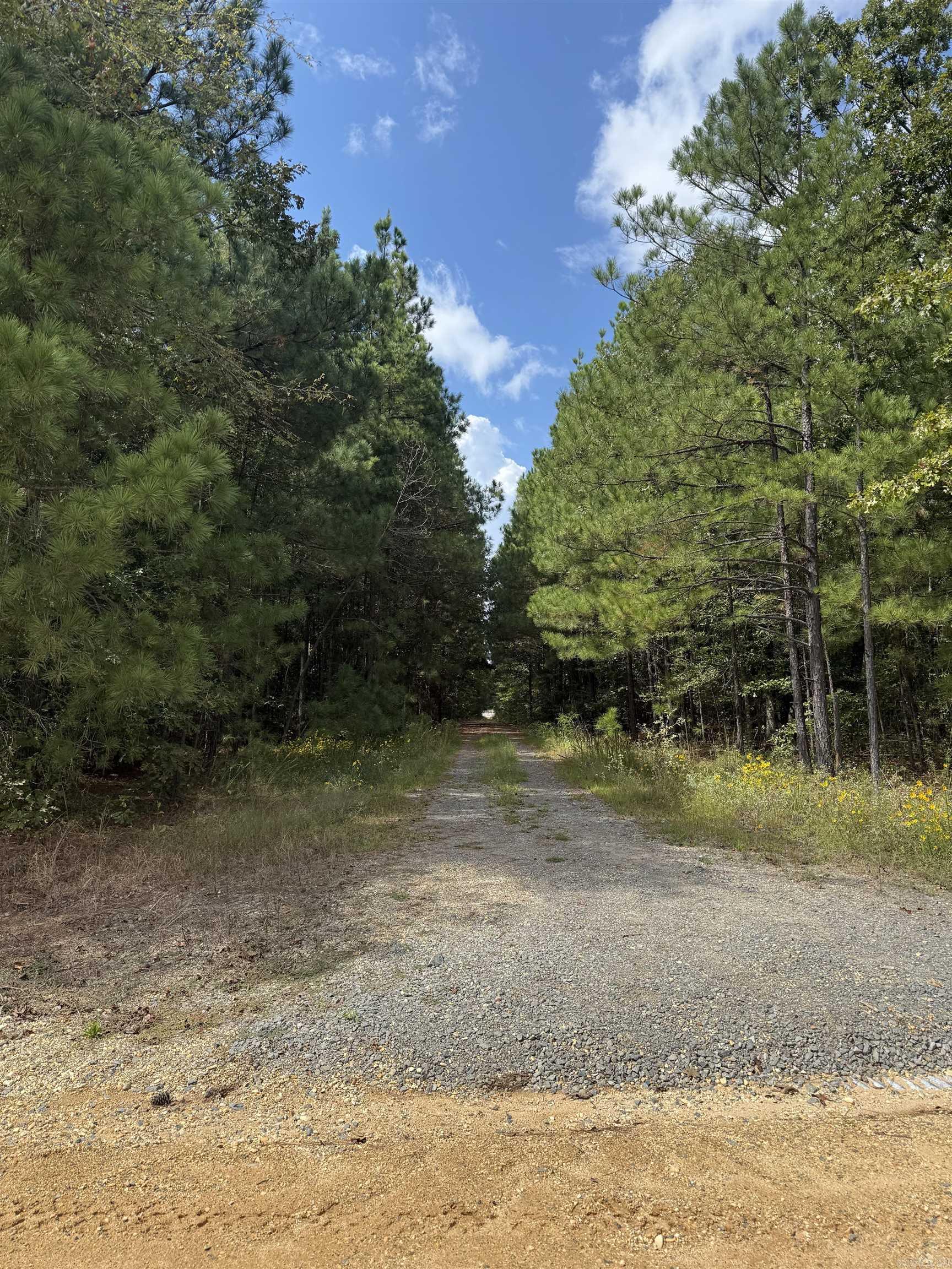 286 Bradley 68  Warren, AR