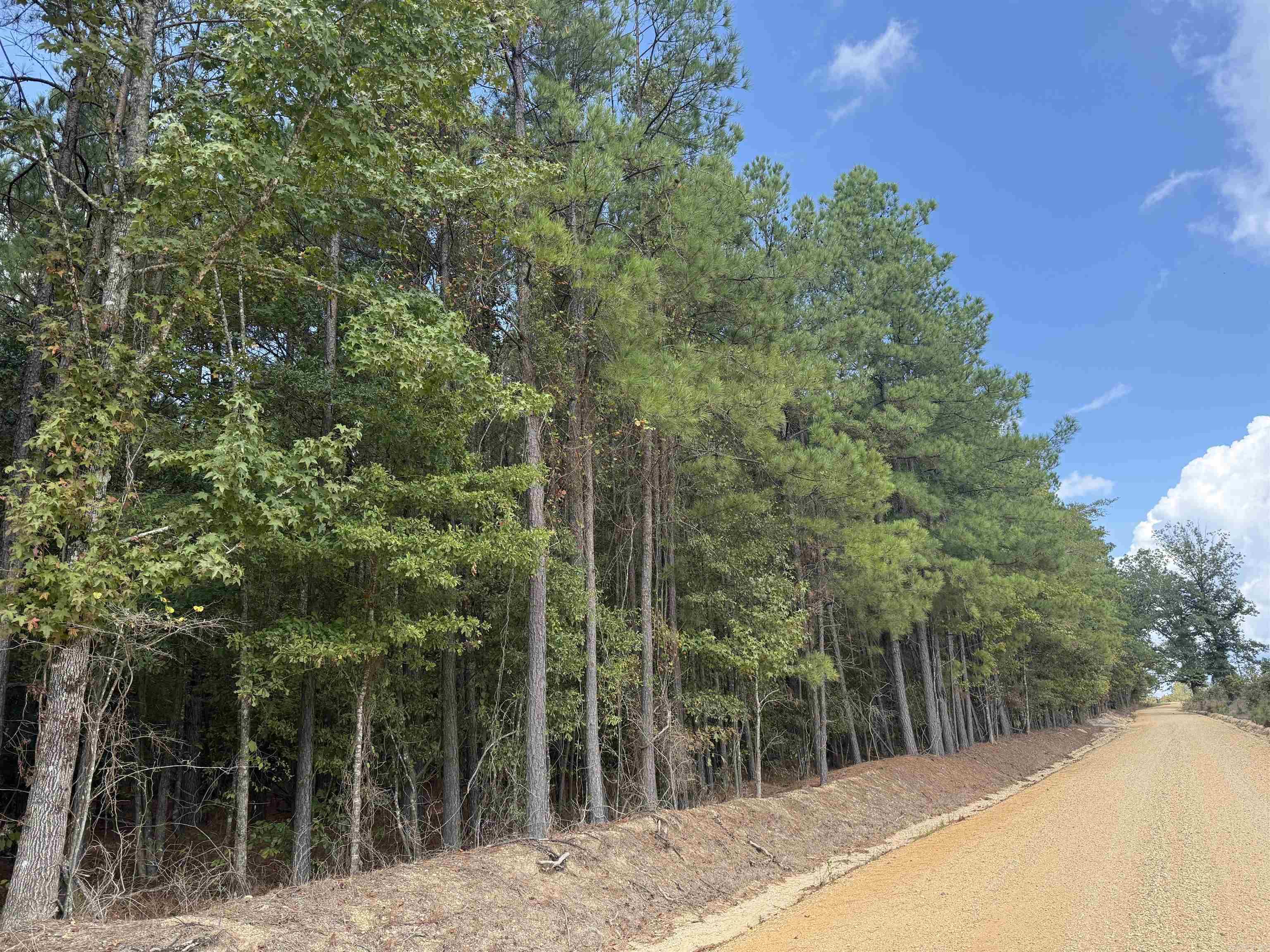 286 Bradley 68  Warren, AR