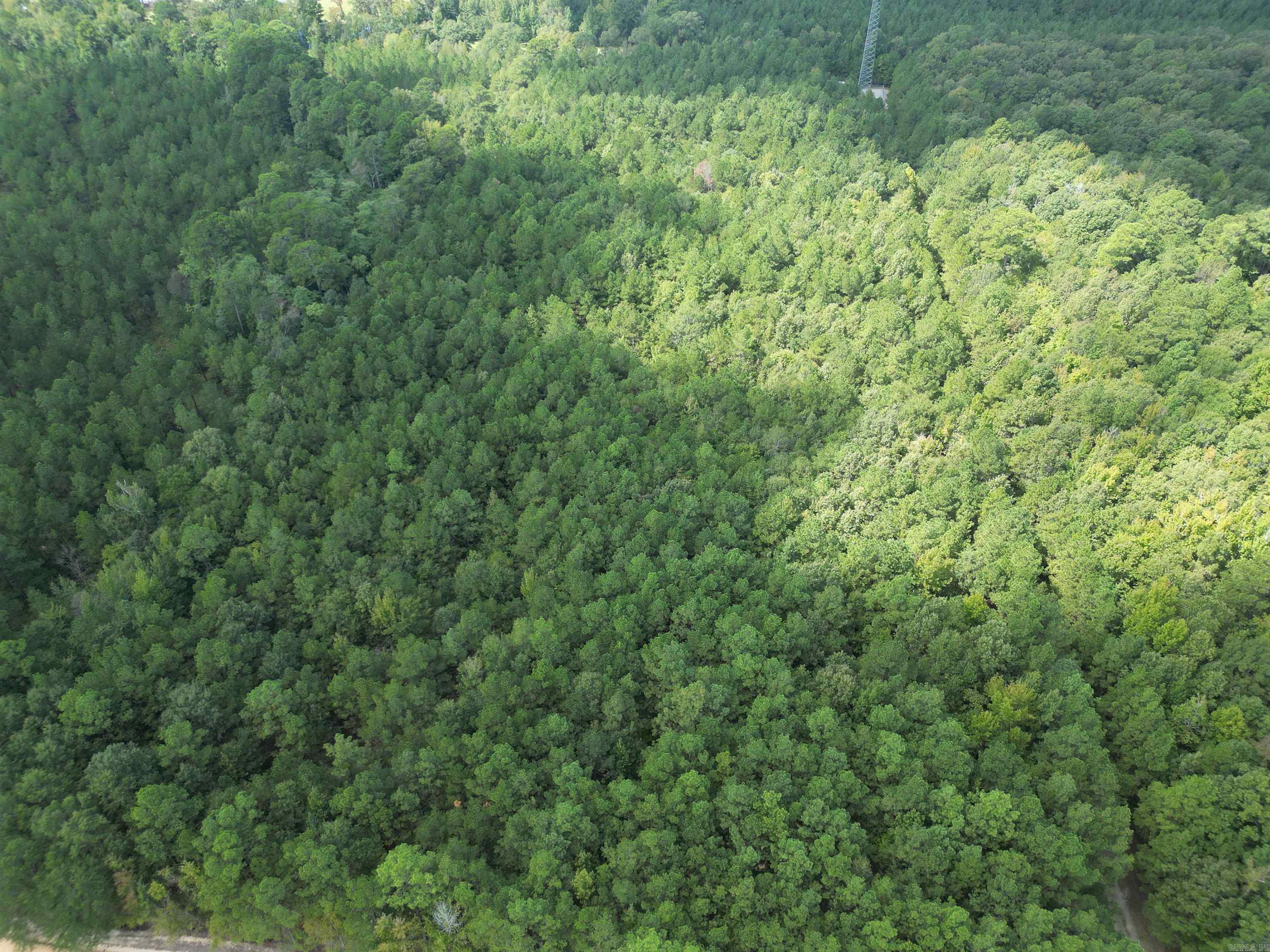 286 Bradley 68  Warren, AR