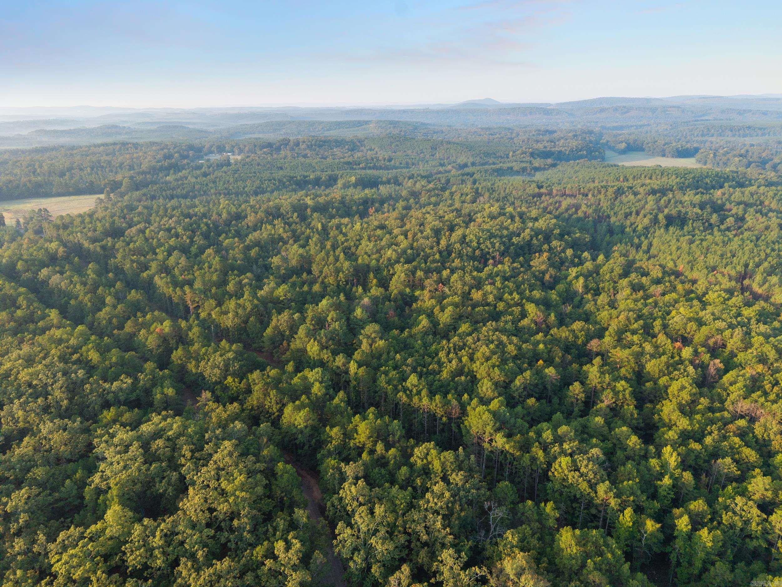 22400 Ross Loop  Paron, AR