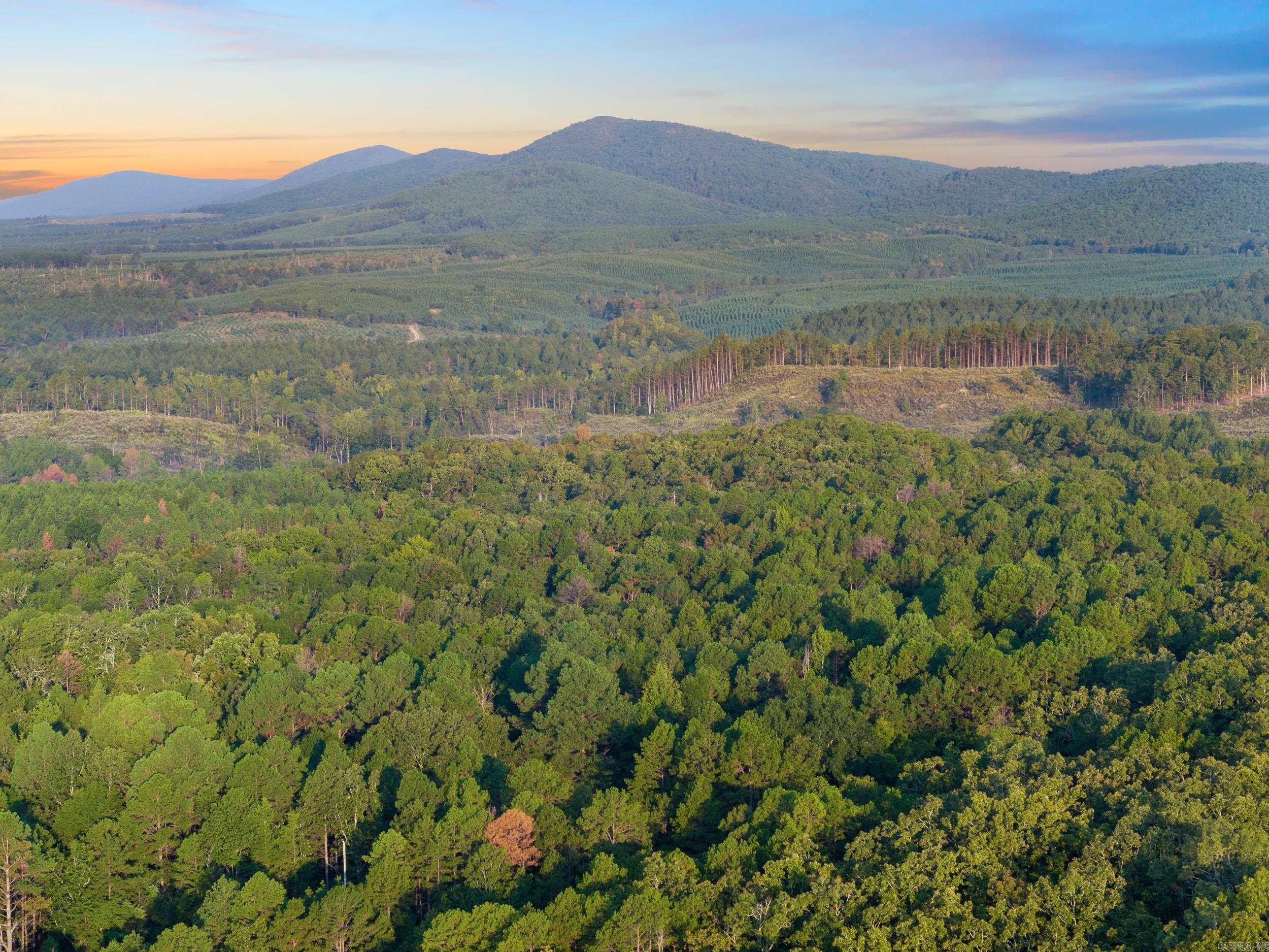 22400 Ross Loop  Paron, AR