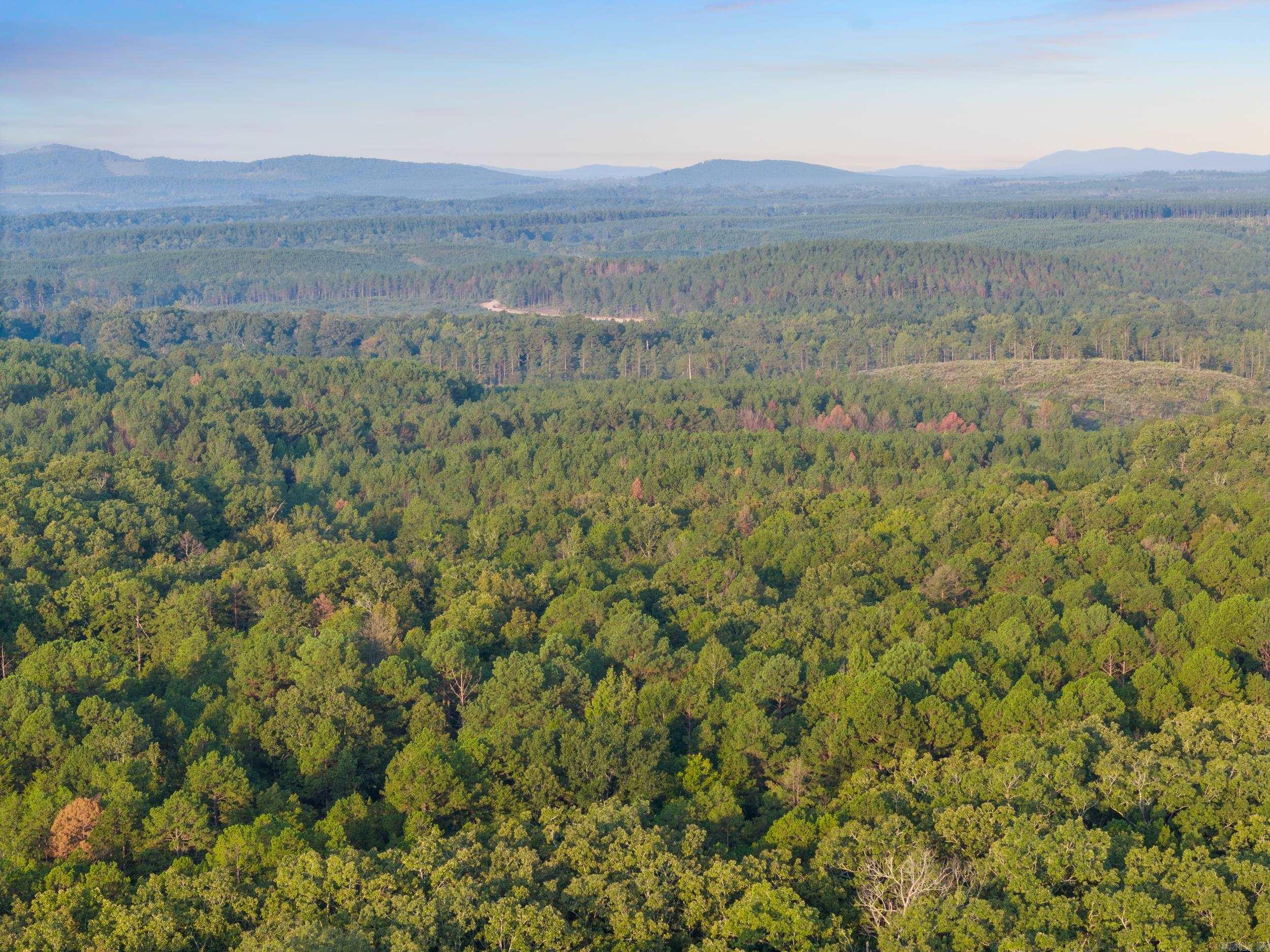 22400 Ross Loop  Paron, AR