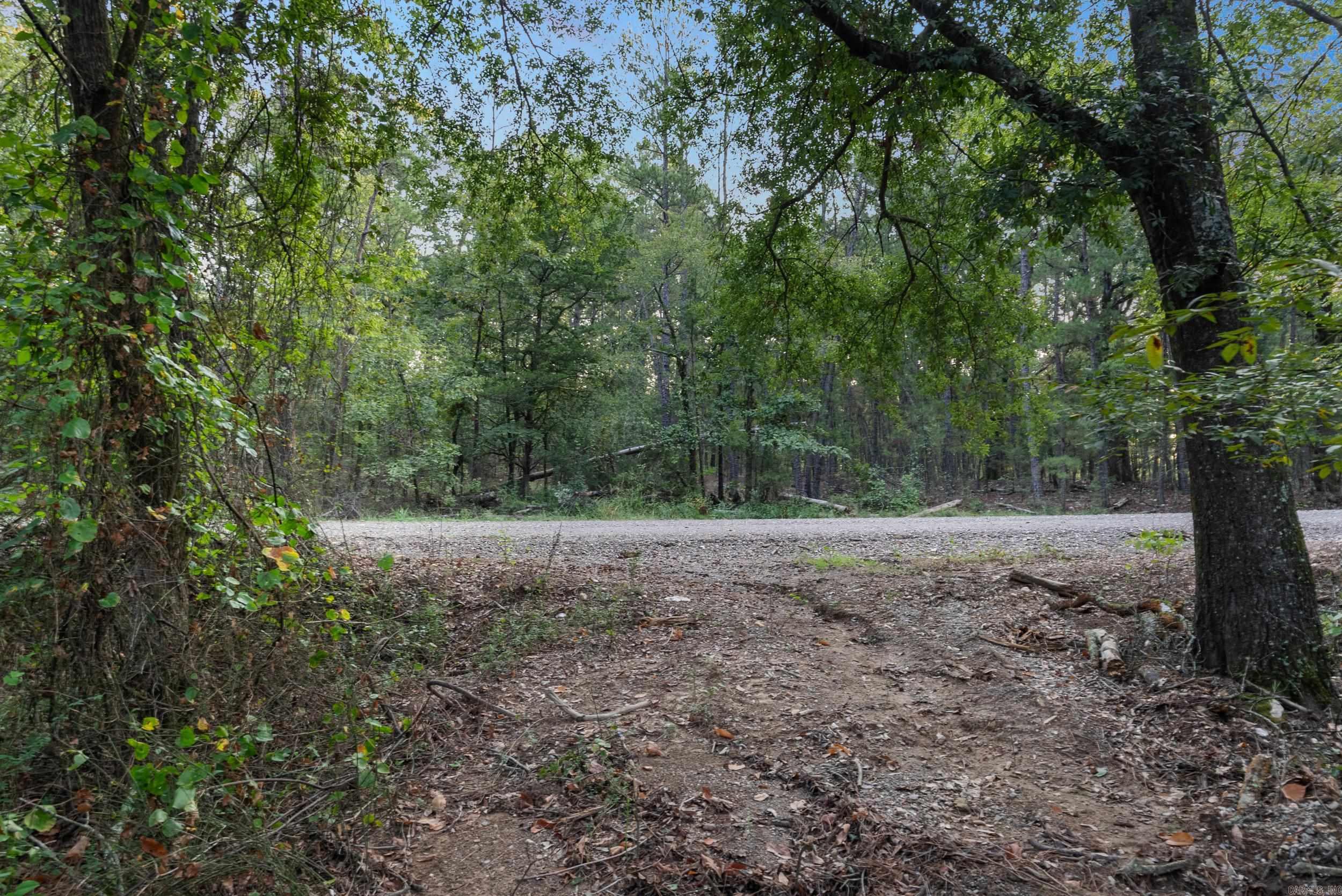 22400 Ross Loop  Paron, AR