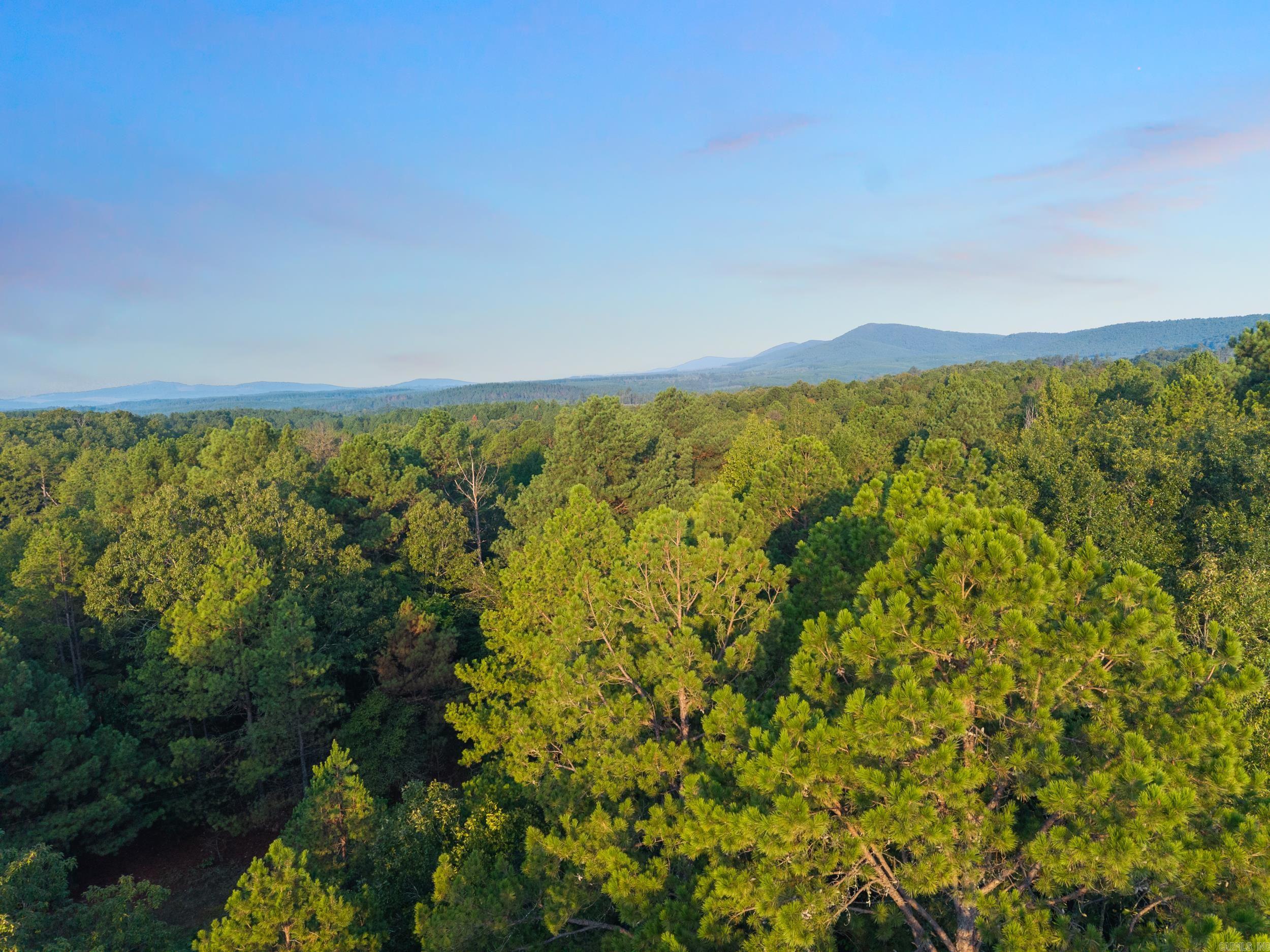 22350 Ross Loop  Paron, AR