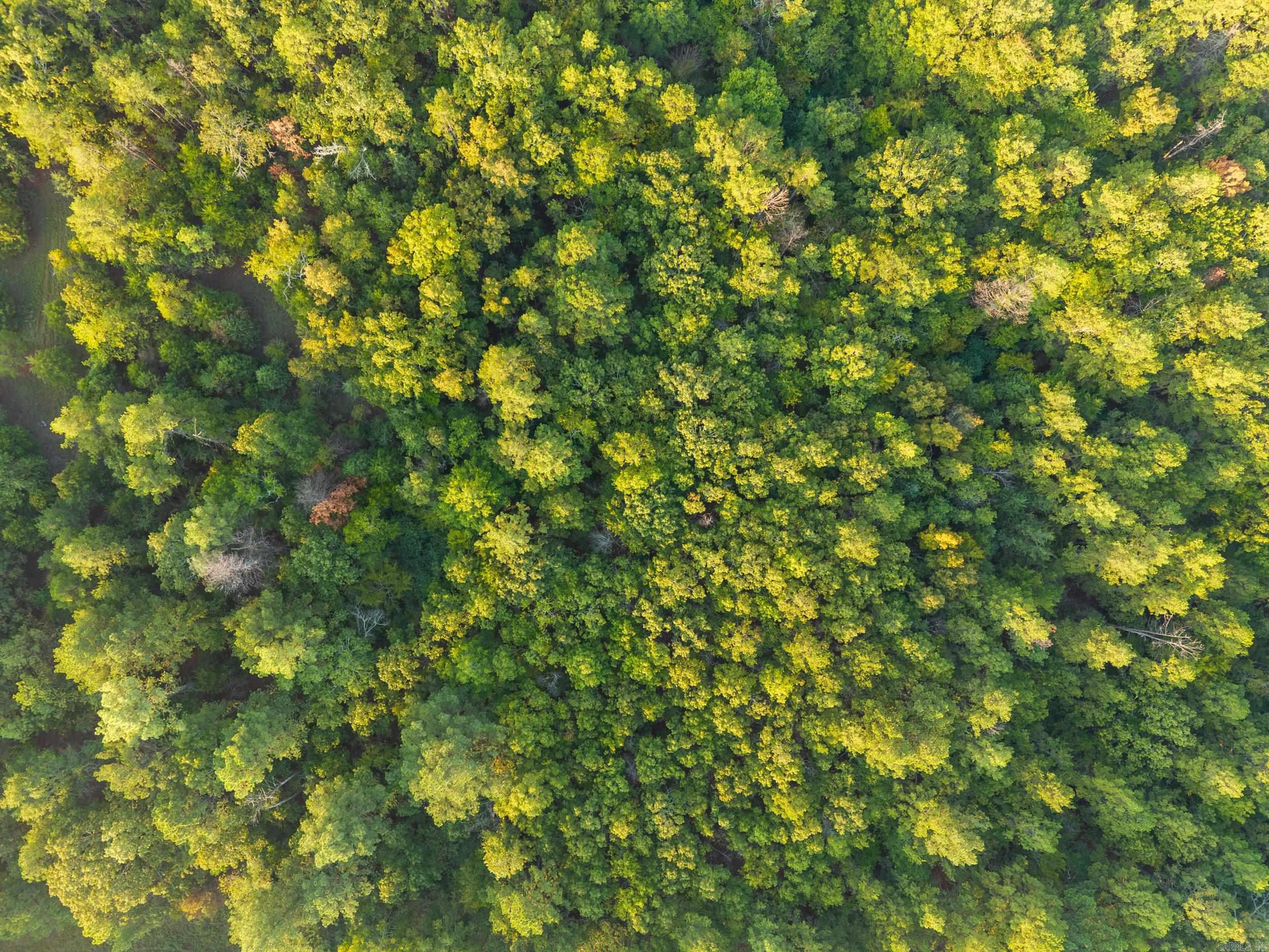 22350 Ross Loop  Paron, AR