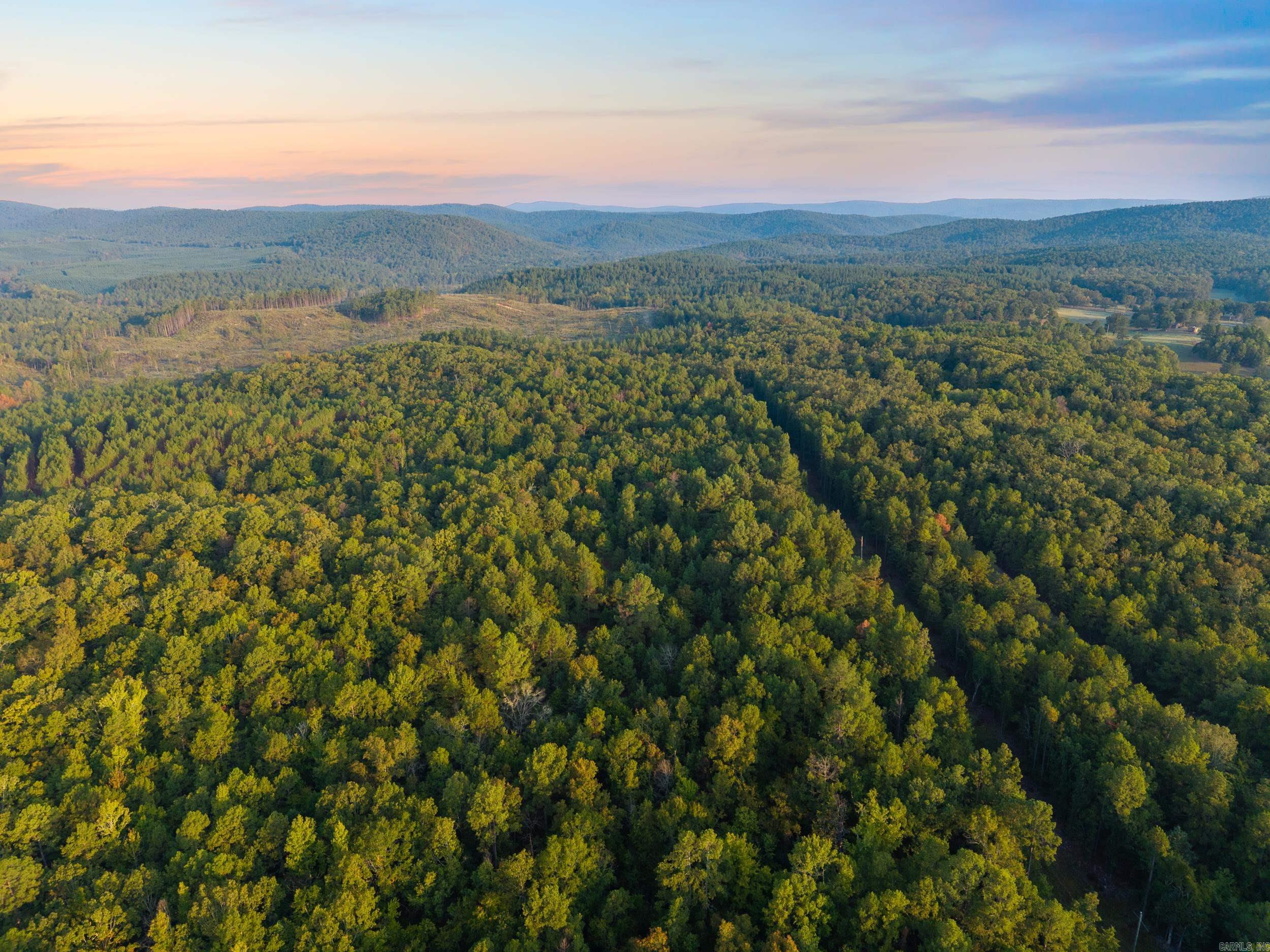 22350 Ross Loop  Paron, AR