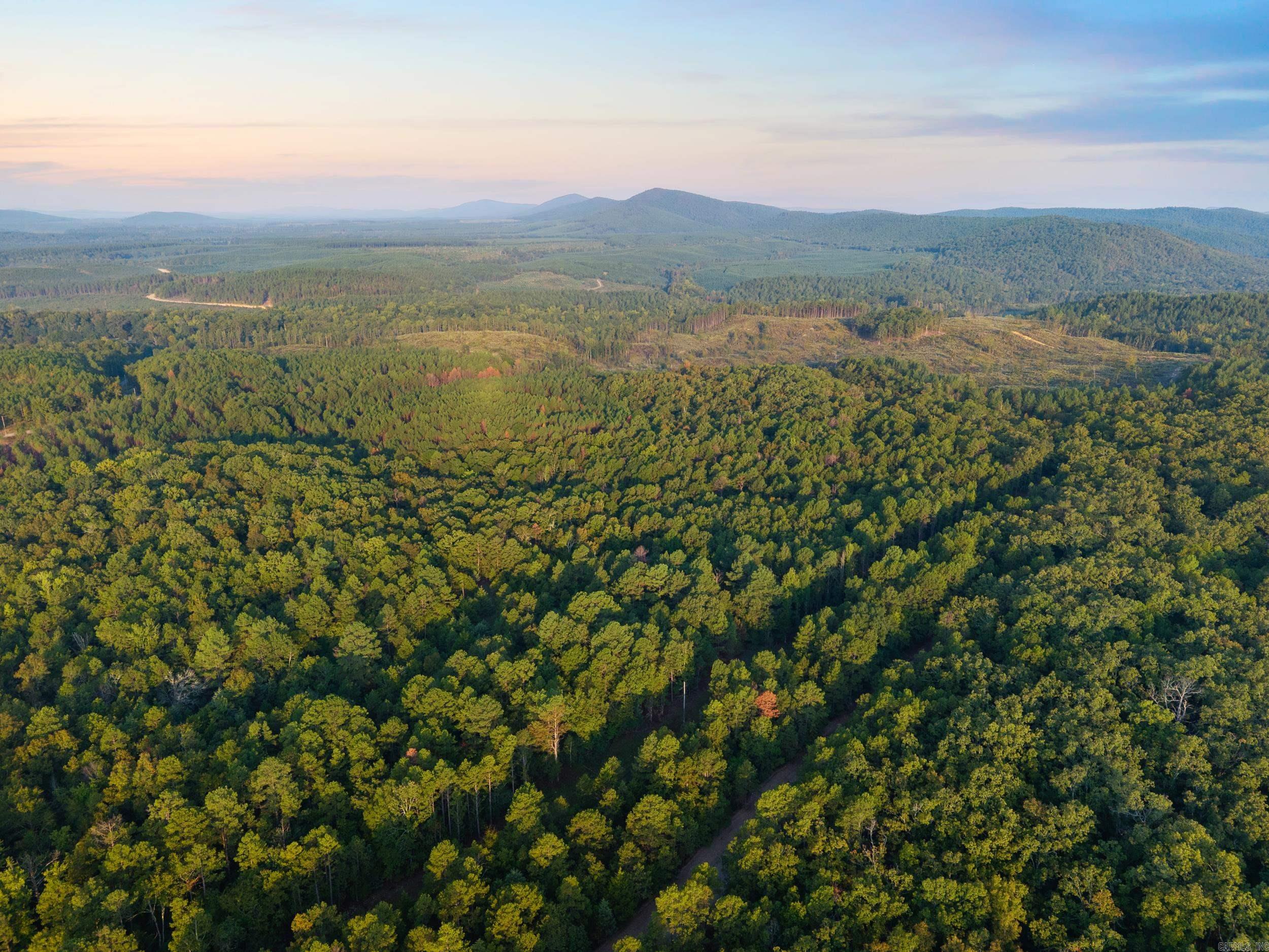 22350 Ross Loop  Paron, AR