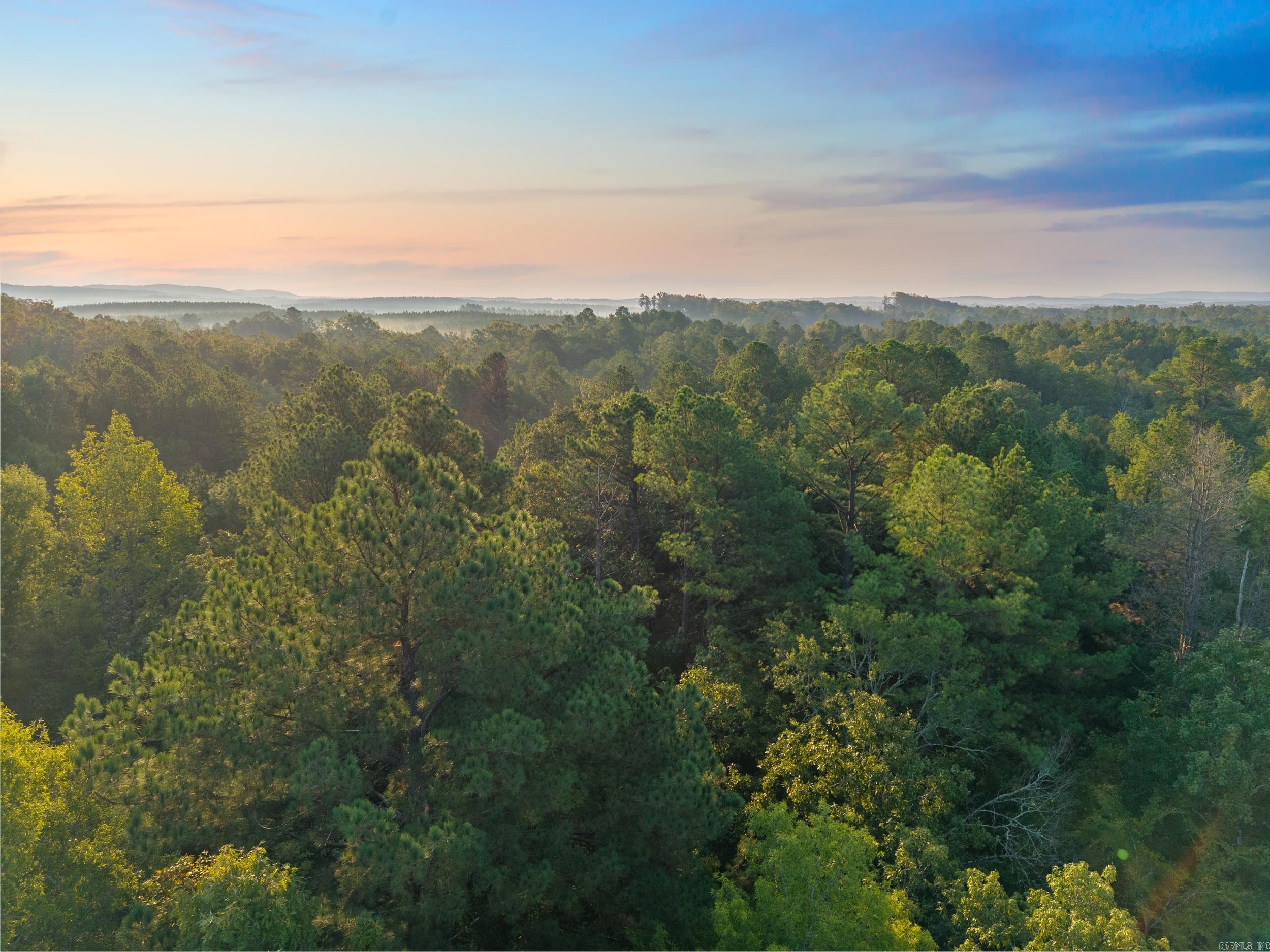 22350 Ross Loop  Paron, AR