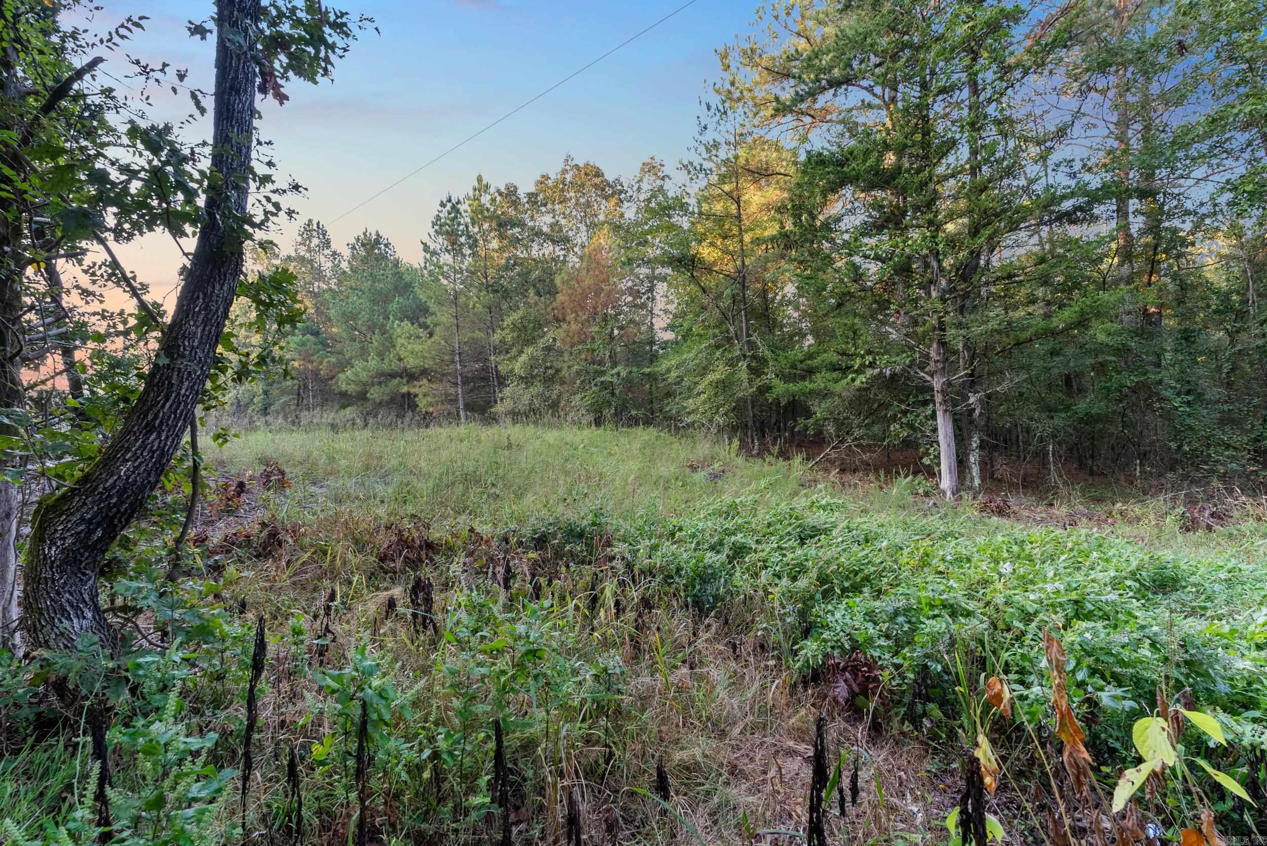 22350 Ross Loop  Paron, AR