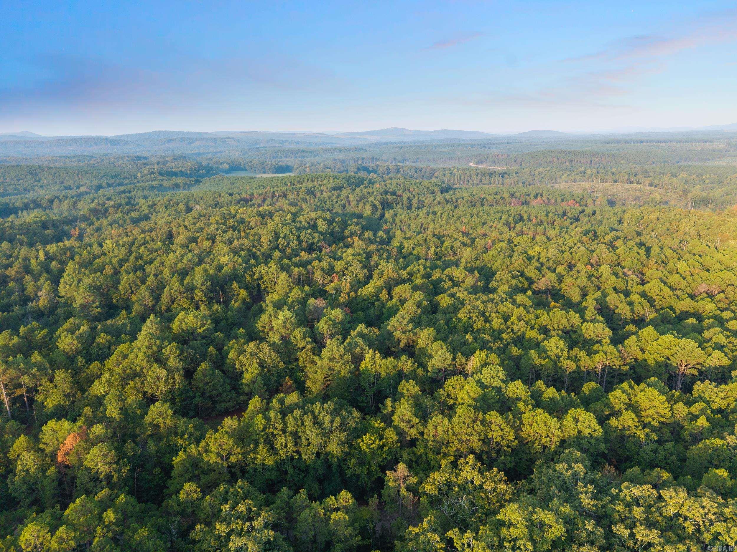 22450 Ross Loop  Paron, AR