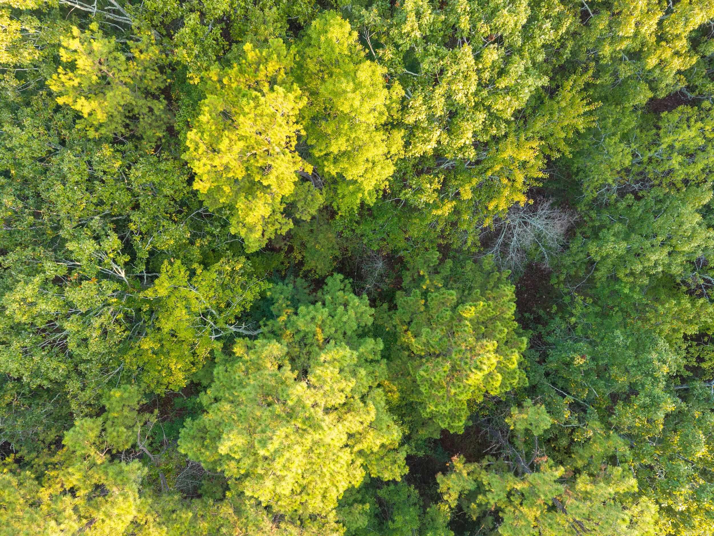 22450 Ross Loop  Paron, AR