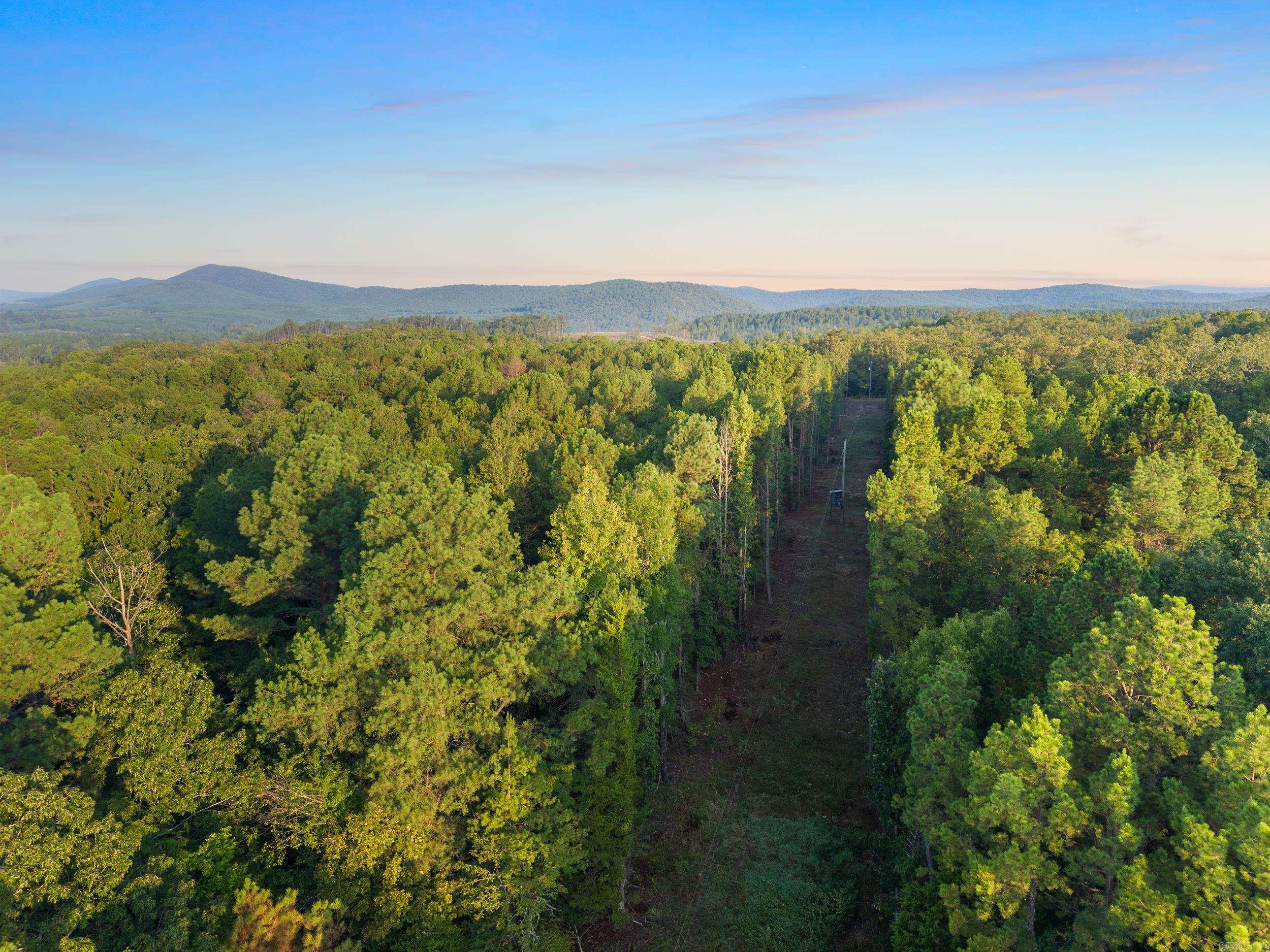 22450 Ross Loop  Paron, AR