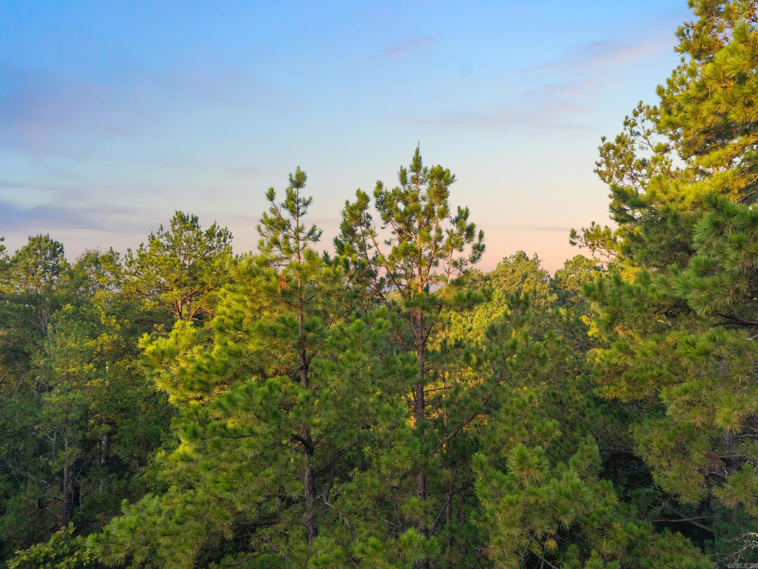 22450 Ross Loop  Paron, AR