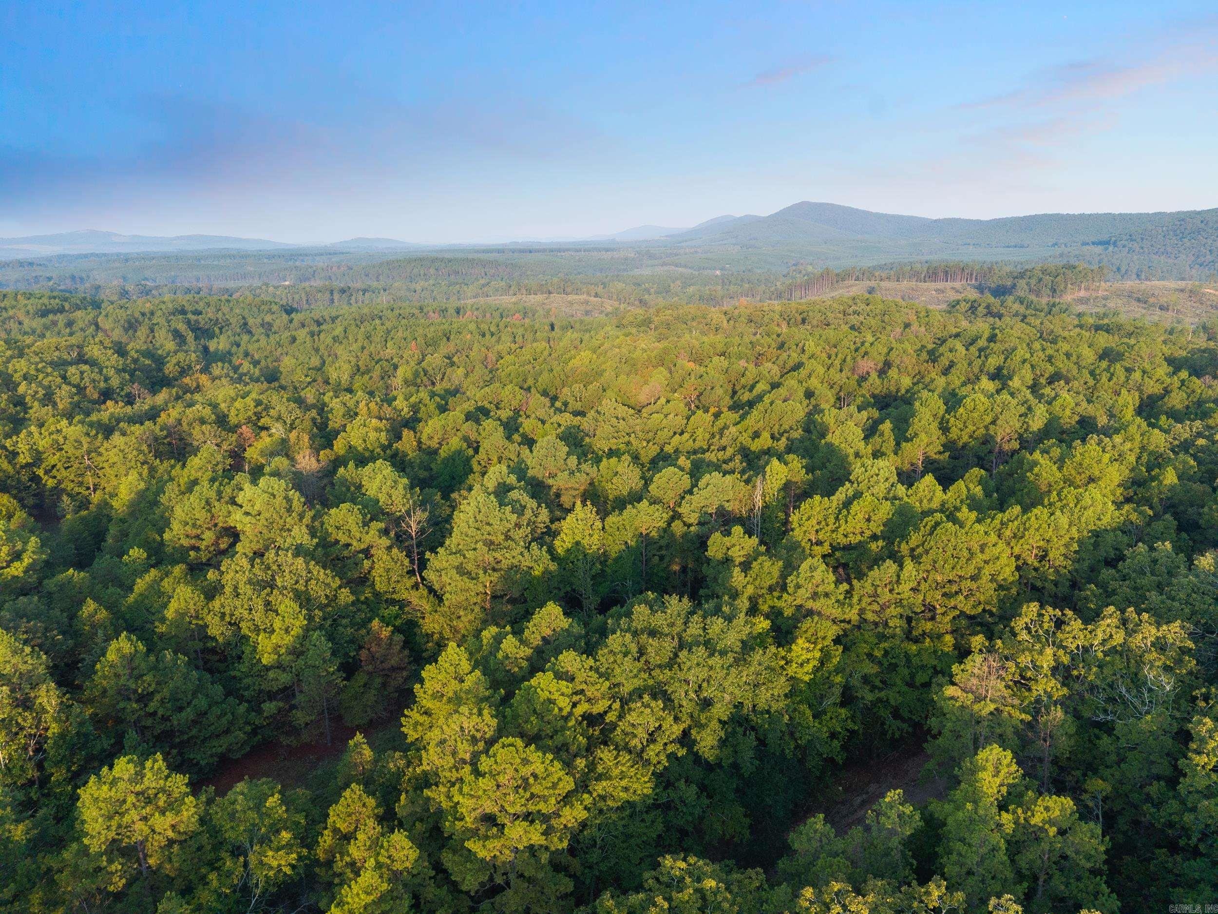 22450 Ross Loop  Paron, AR