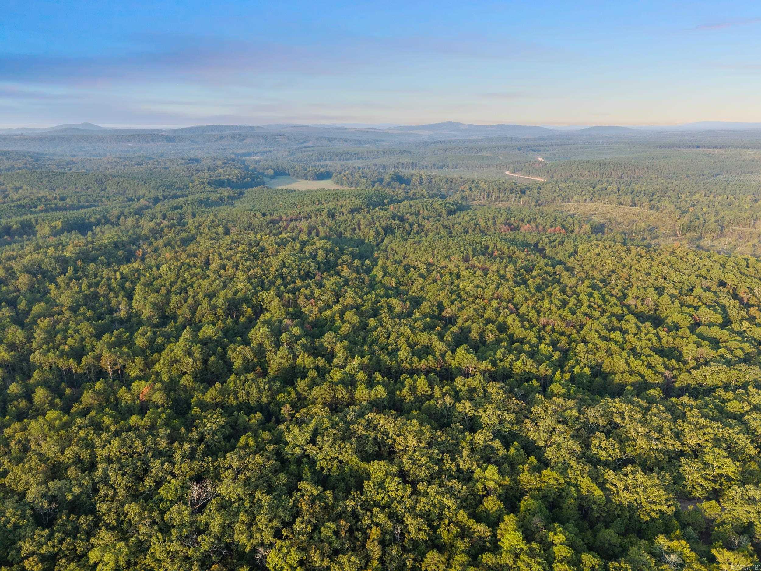 22450 Ross Loop  Paron, AR