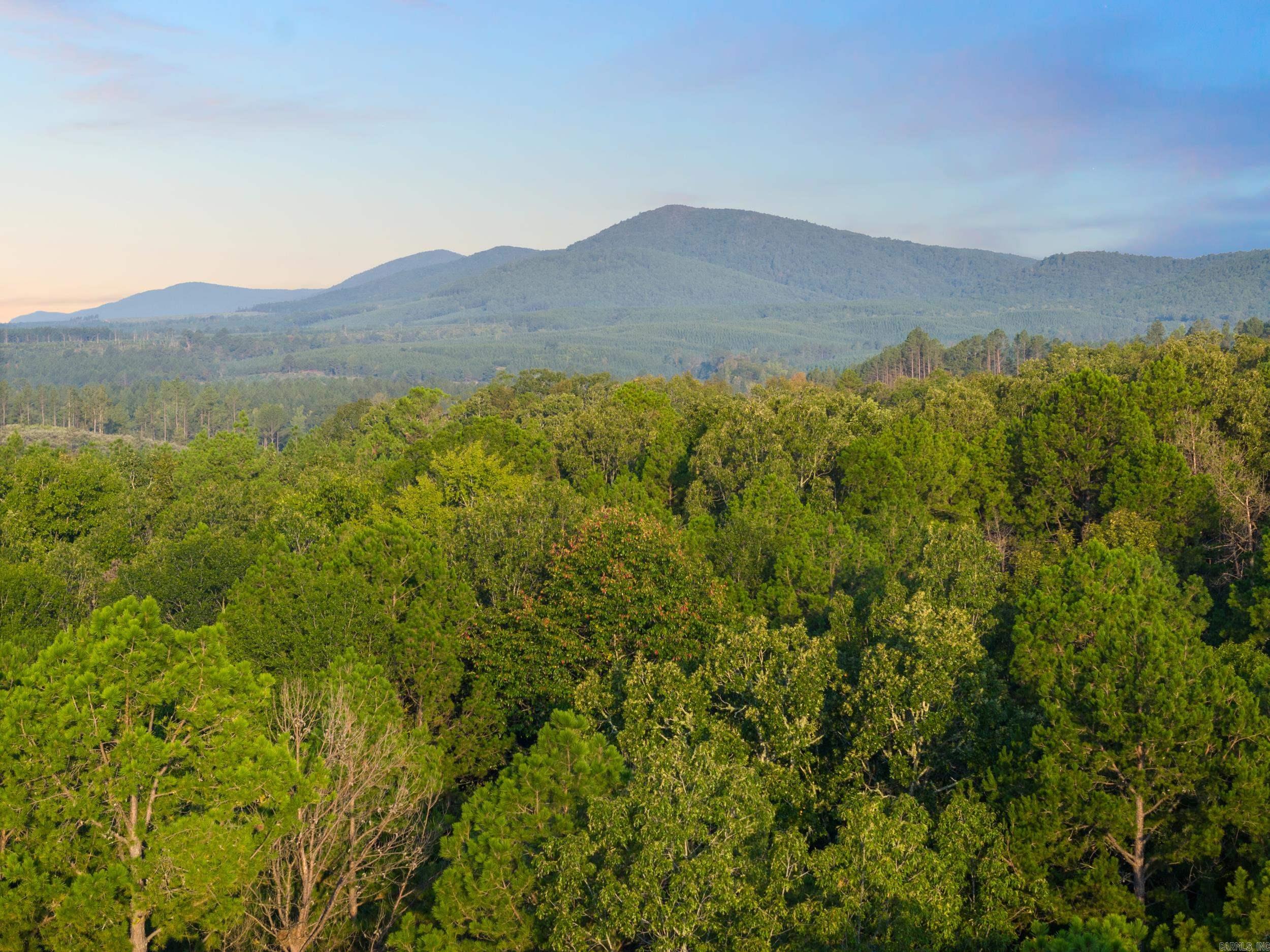 22450 Ross Loop  Paron, AR