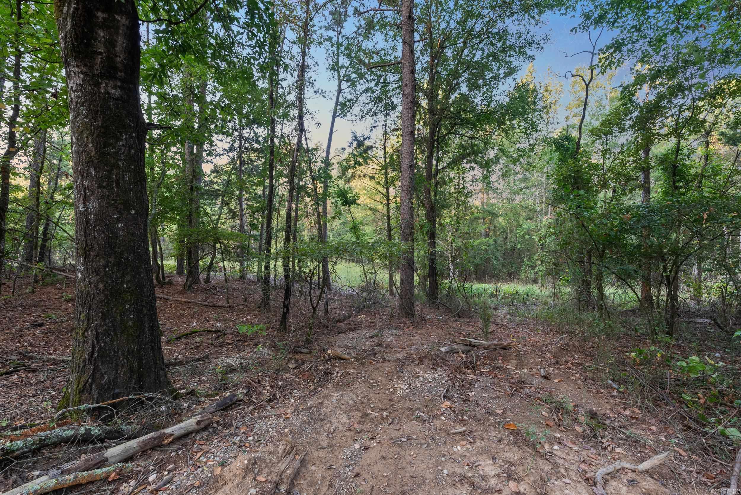 22450 Ross Loop  Paron, AR