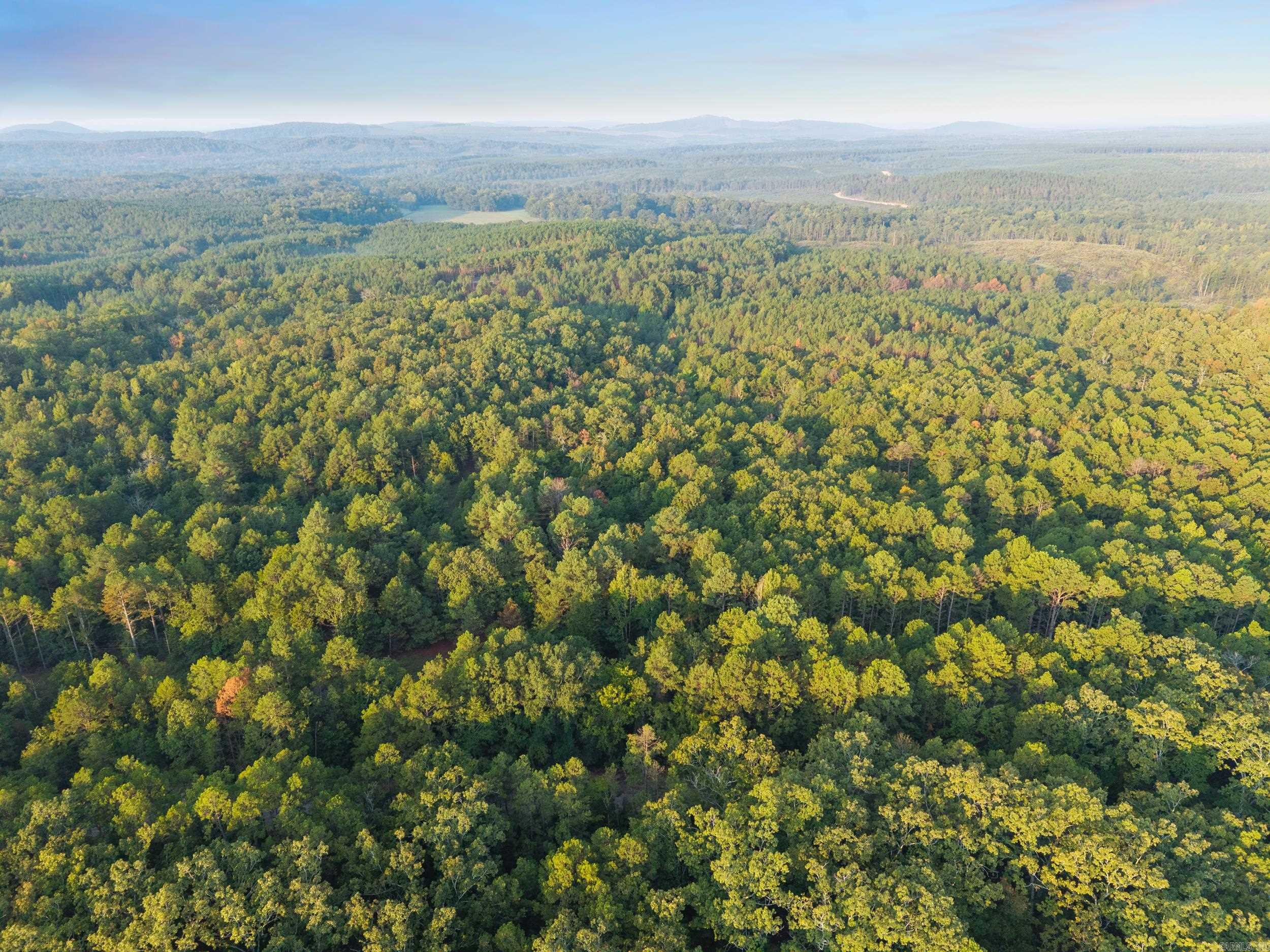 22450 Ross Loop  Paron, AR