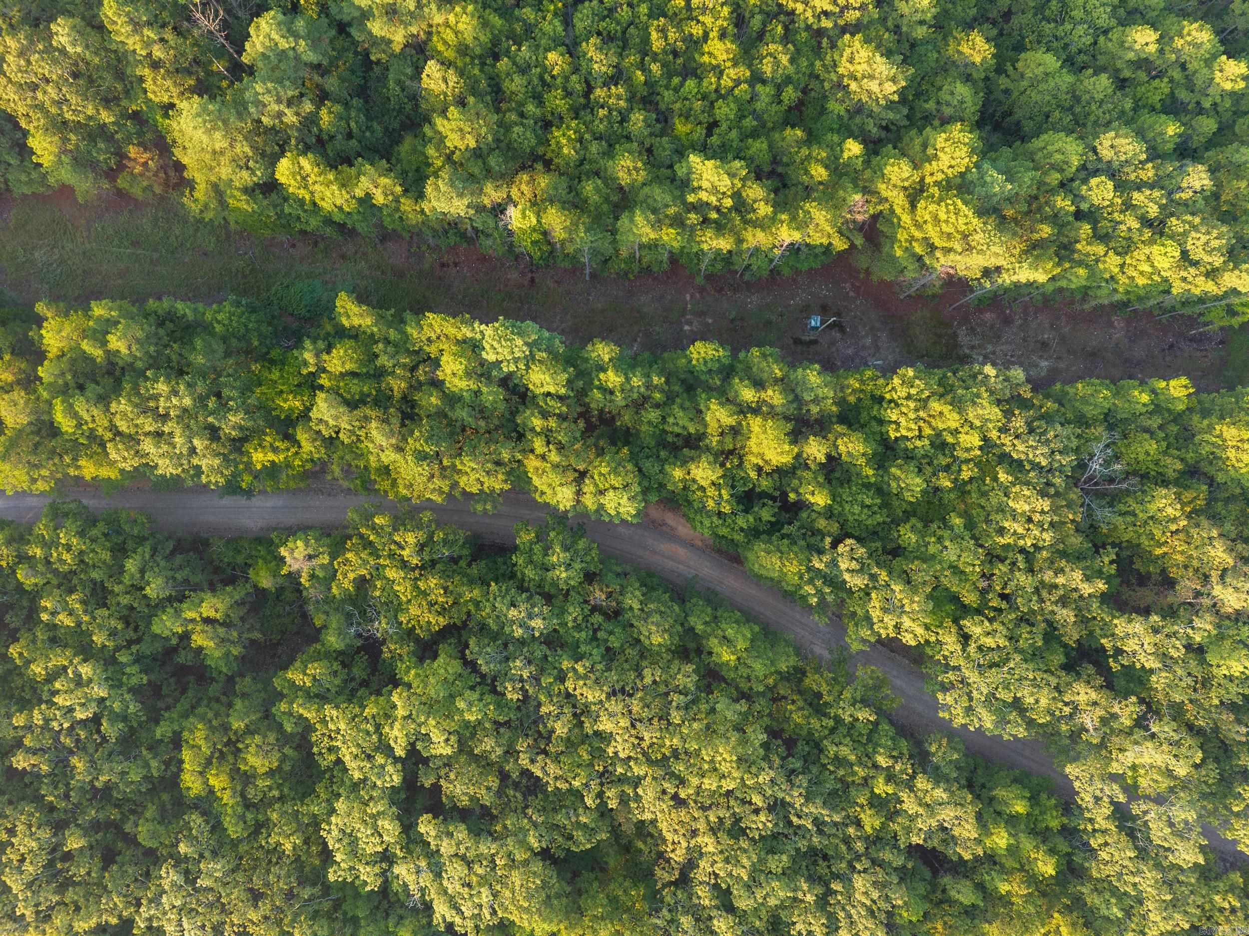 22450 Ross Loop  Paron, AR