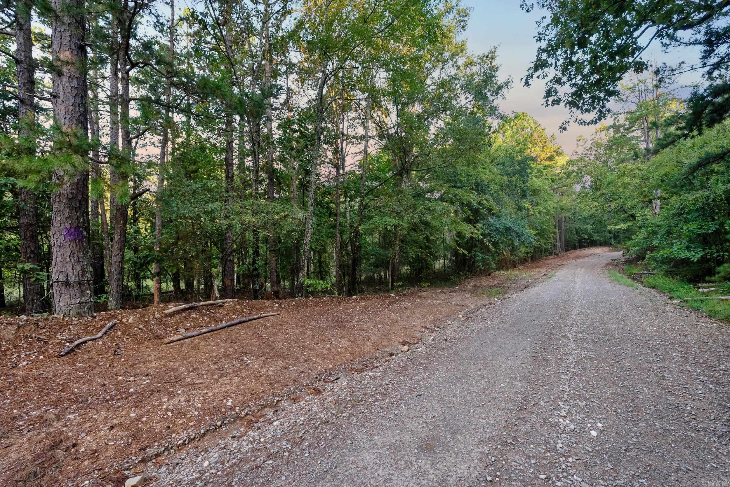 22450 Ross Loop  Paron, AR
