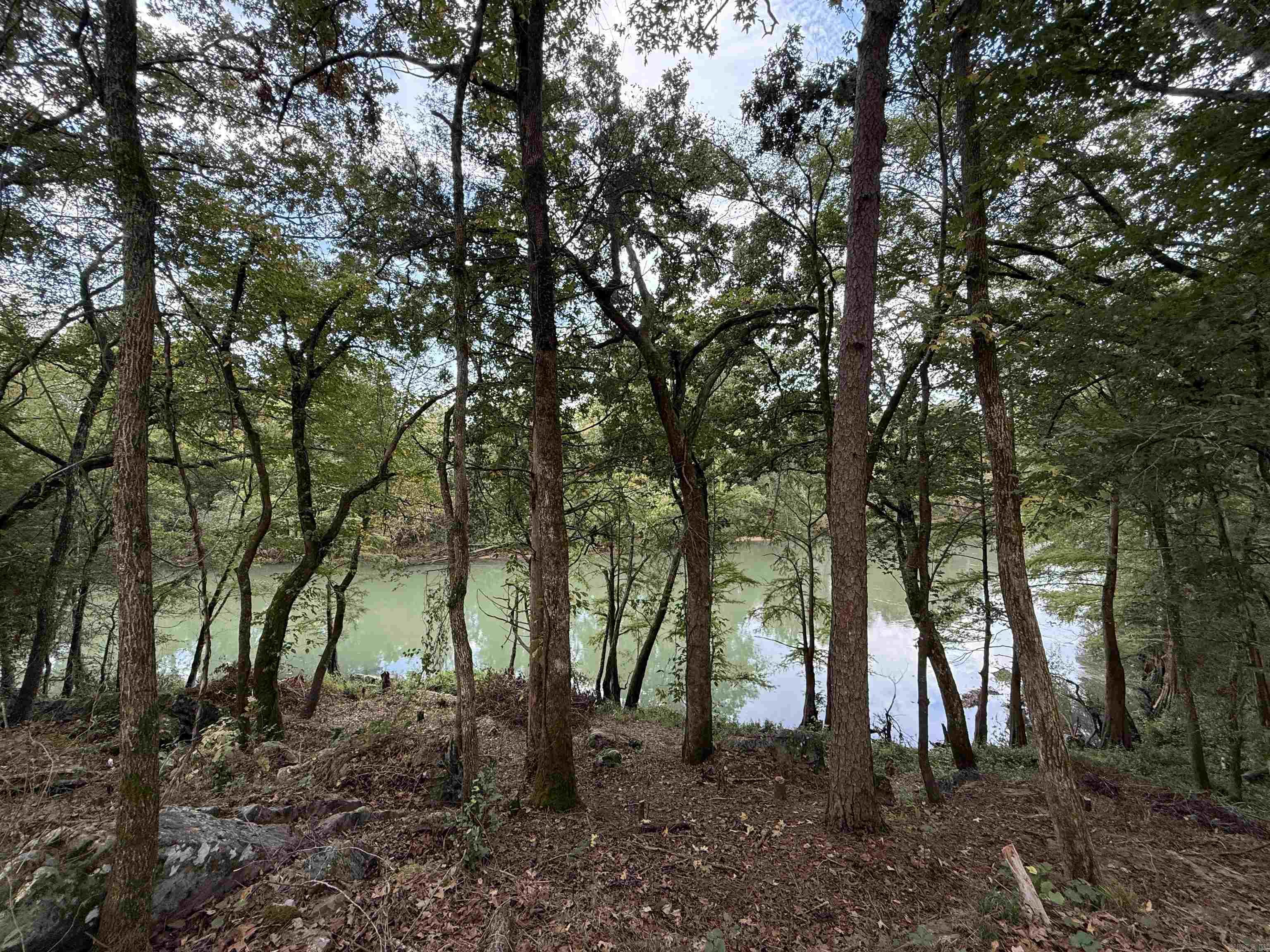 000 River Way Rd.  Pangburn, AR