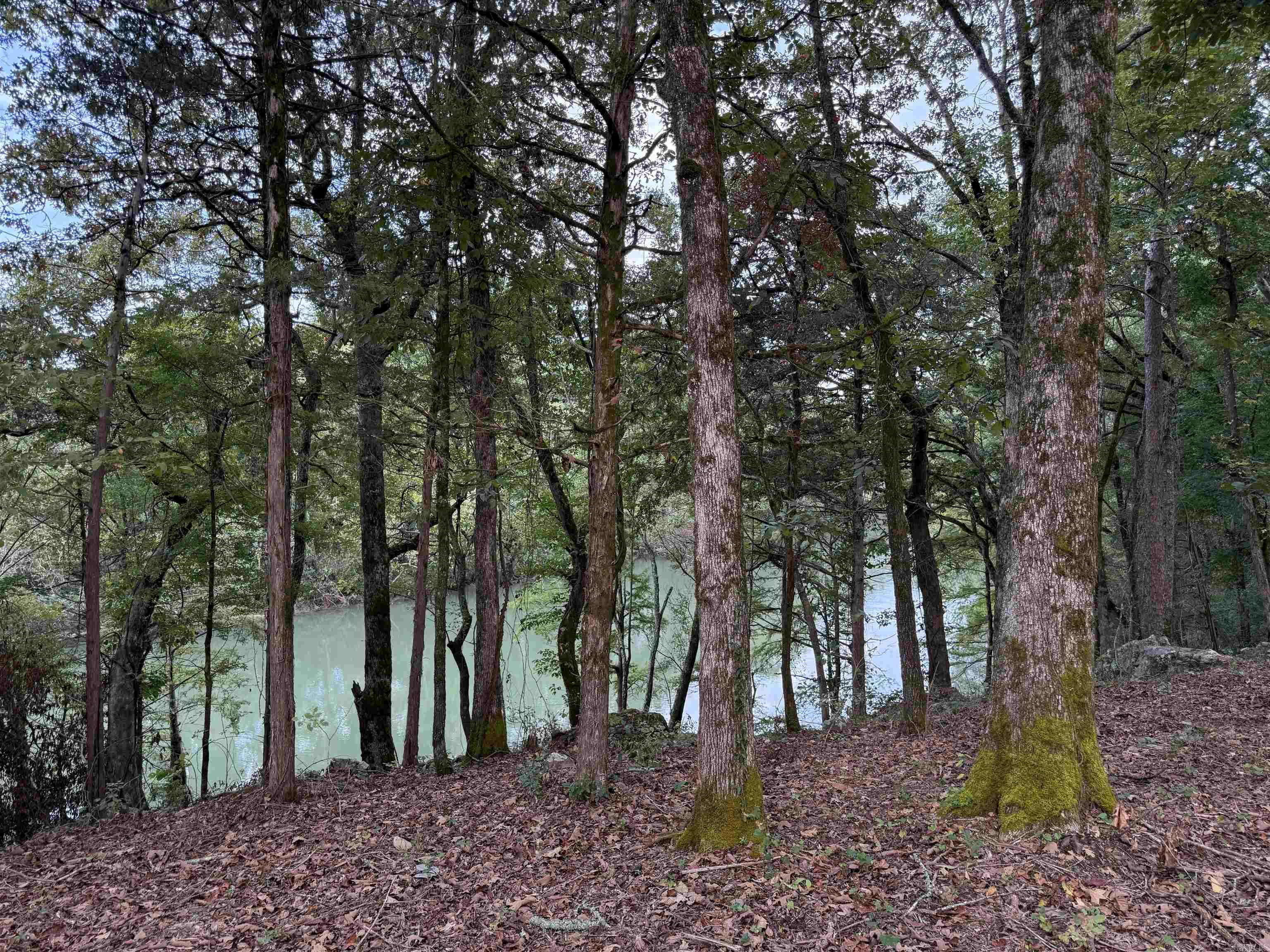 000 River Way Rd.  Pangburn, AR