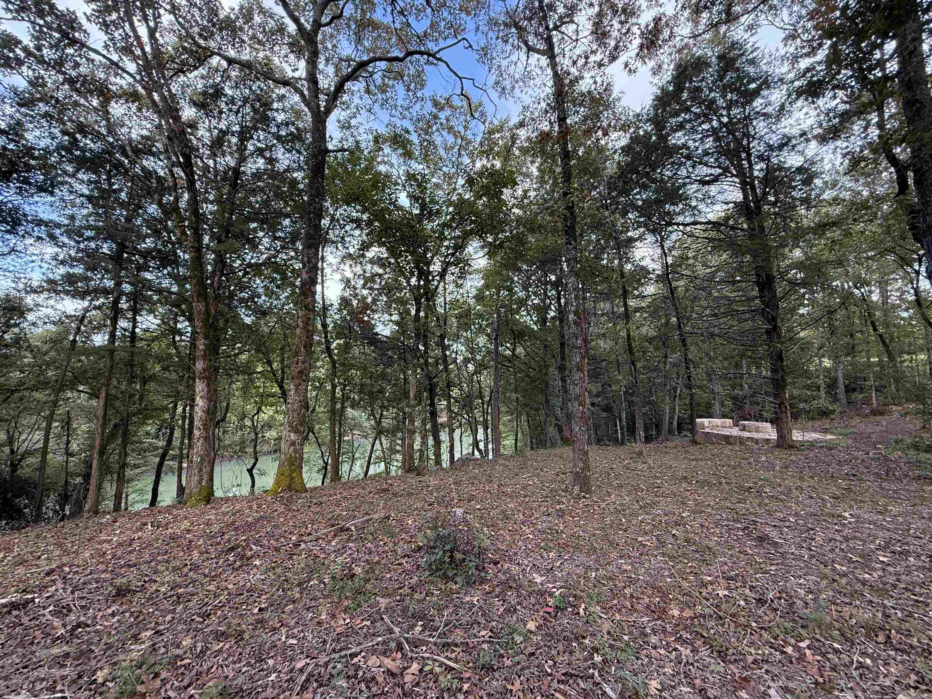 000 River Way Rd.  Pangburn, AR