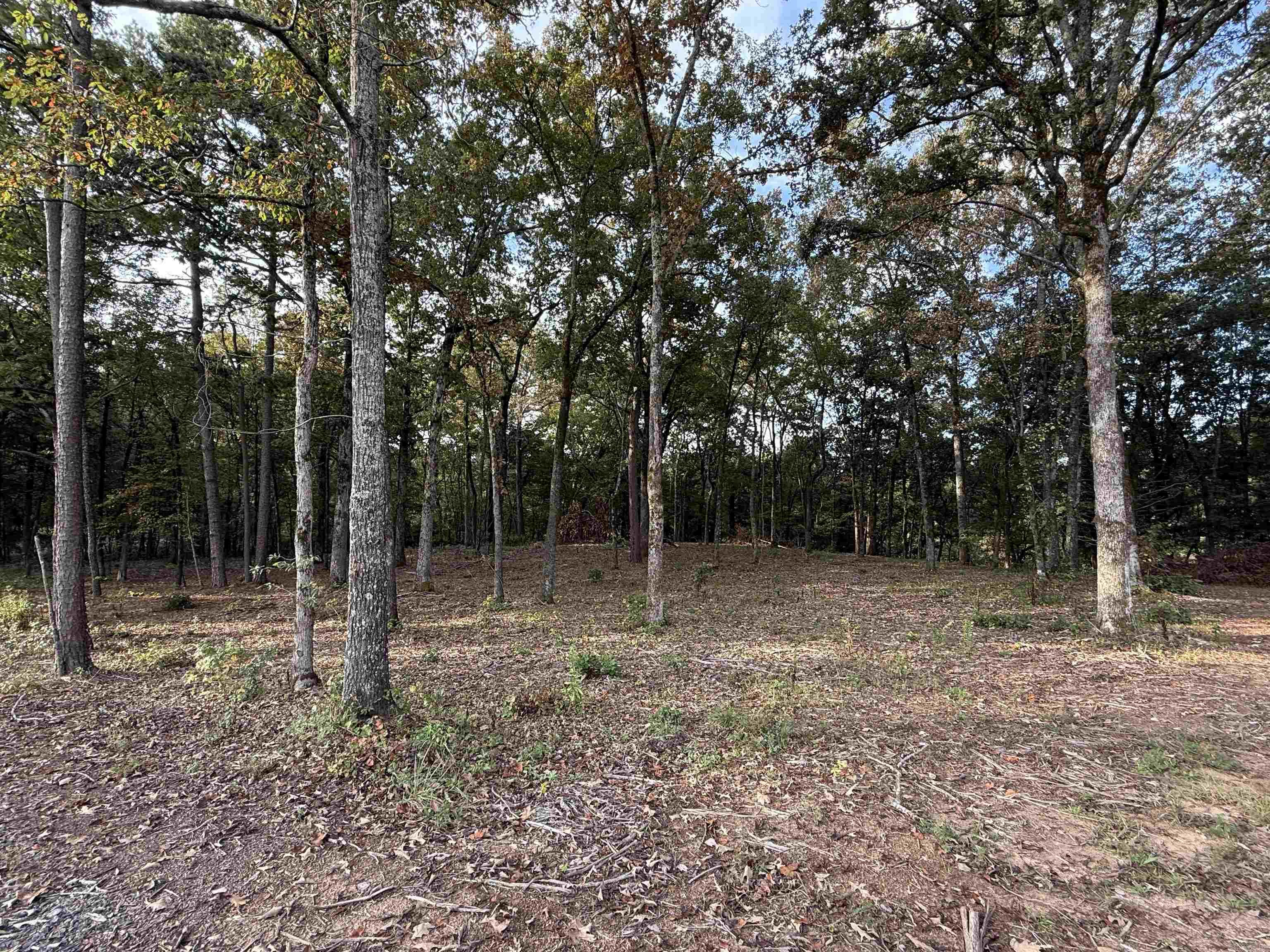 000 River Way Rd.  Pangburn, AR