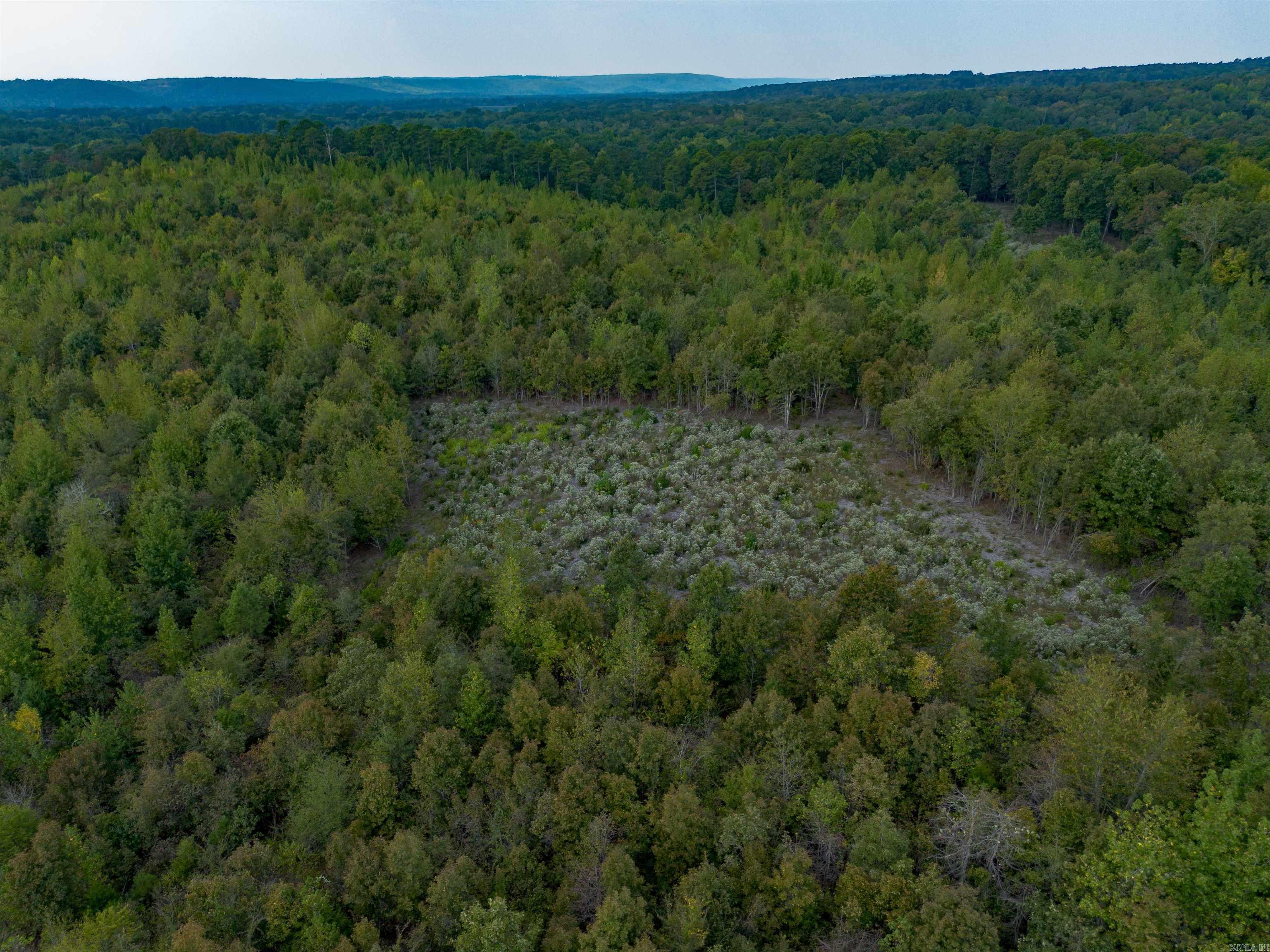 000 River Way Rd.  Pangburn, AR