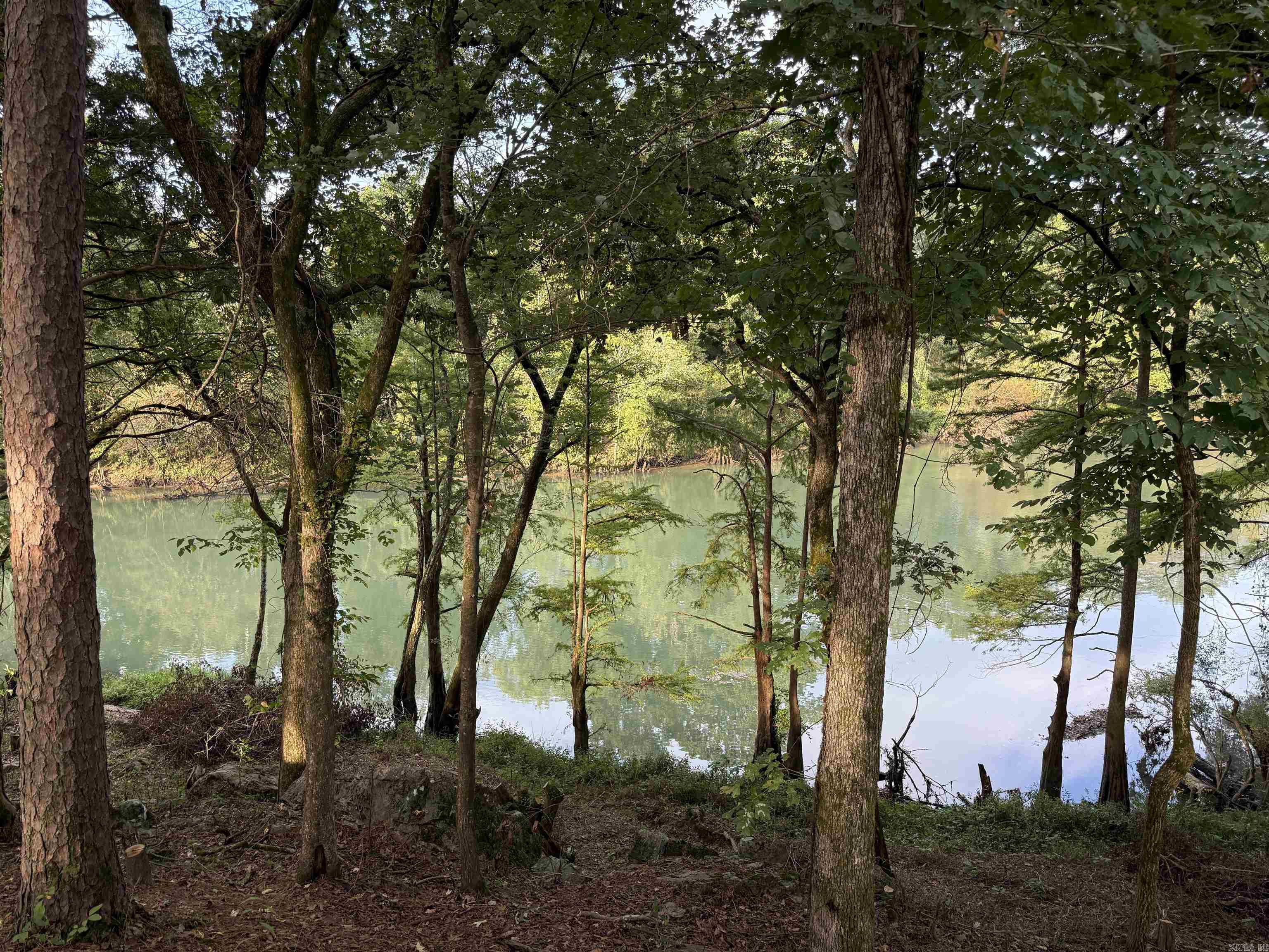 000 River Way Rd.  Pangburn, AR