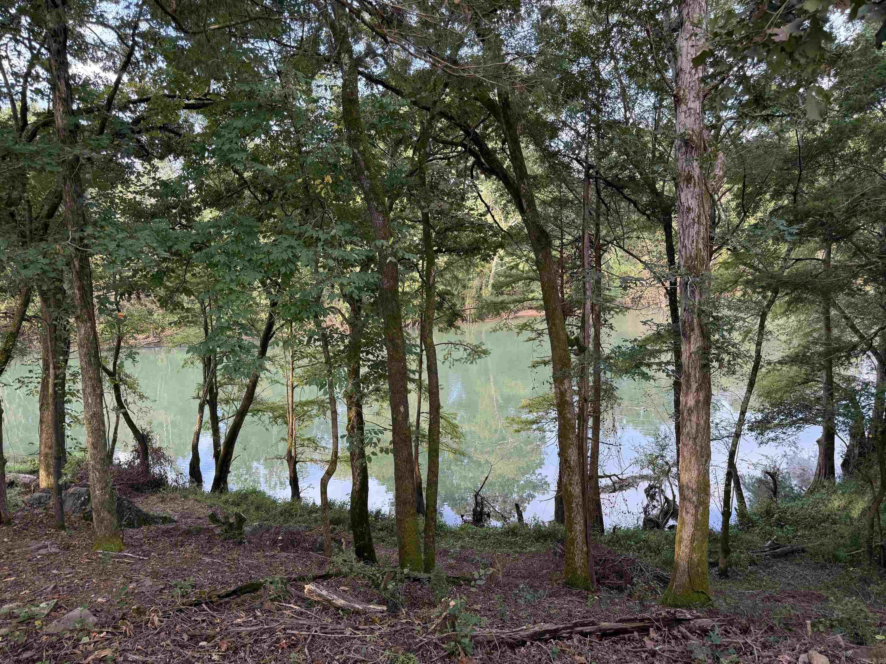 000 River Way Rd.  Pangburn, AR