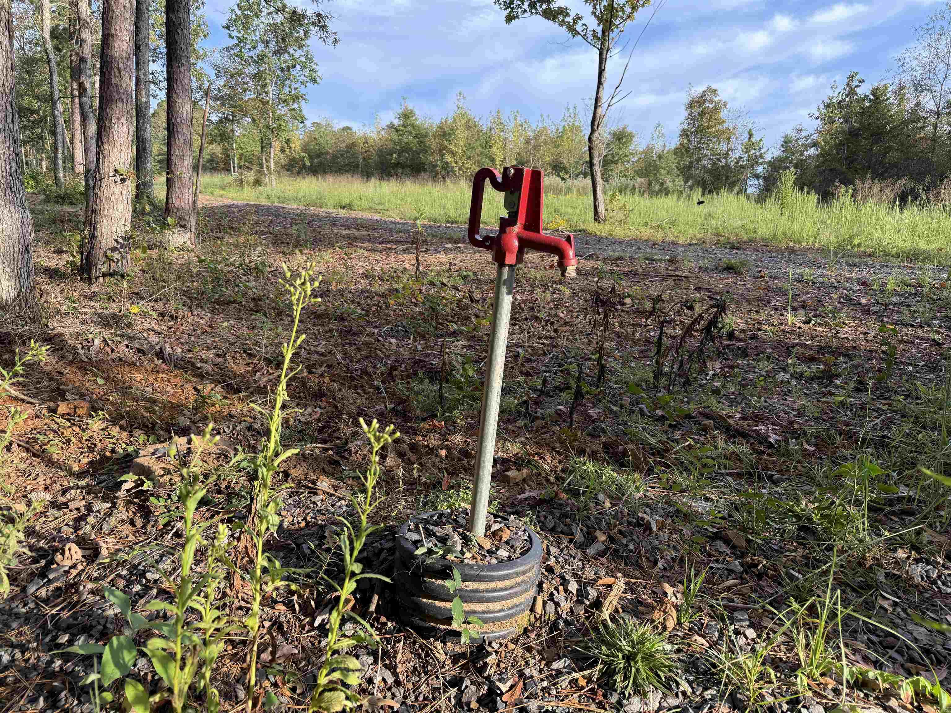 000 River Way Rd.  Pangburn, AR