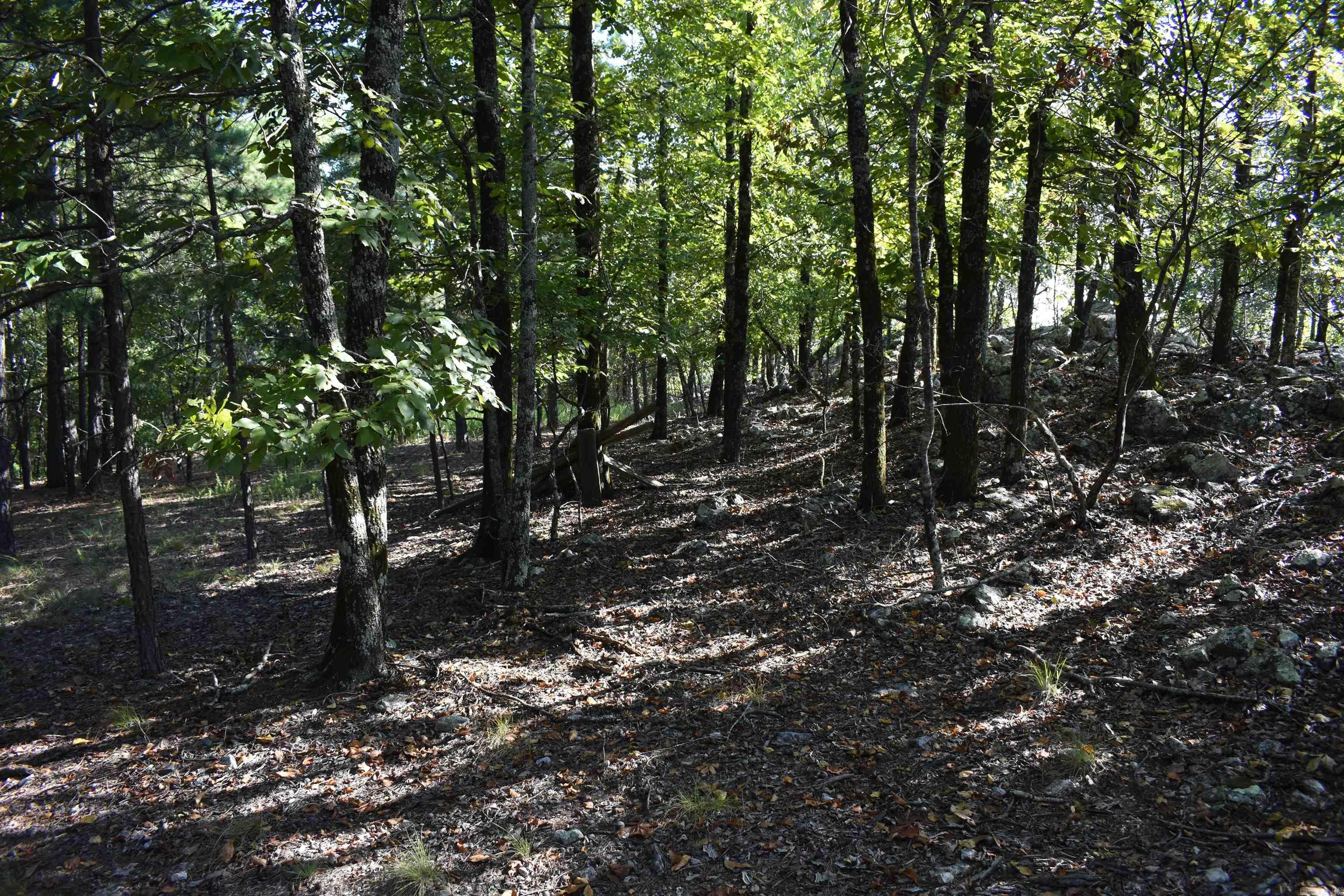 374 Leisure Terrace Hot Springs, AR 71901