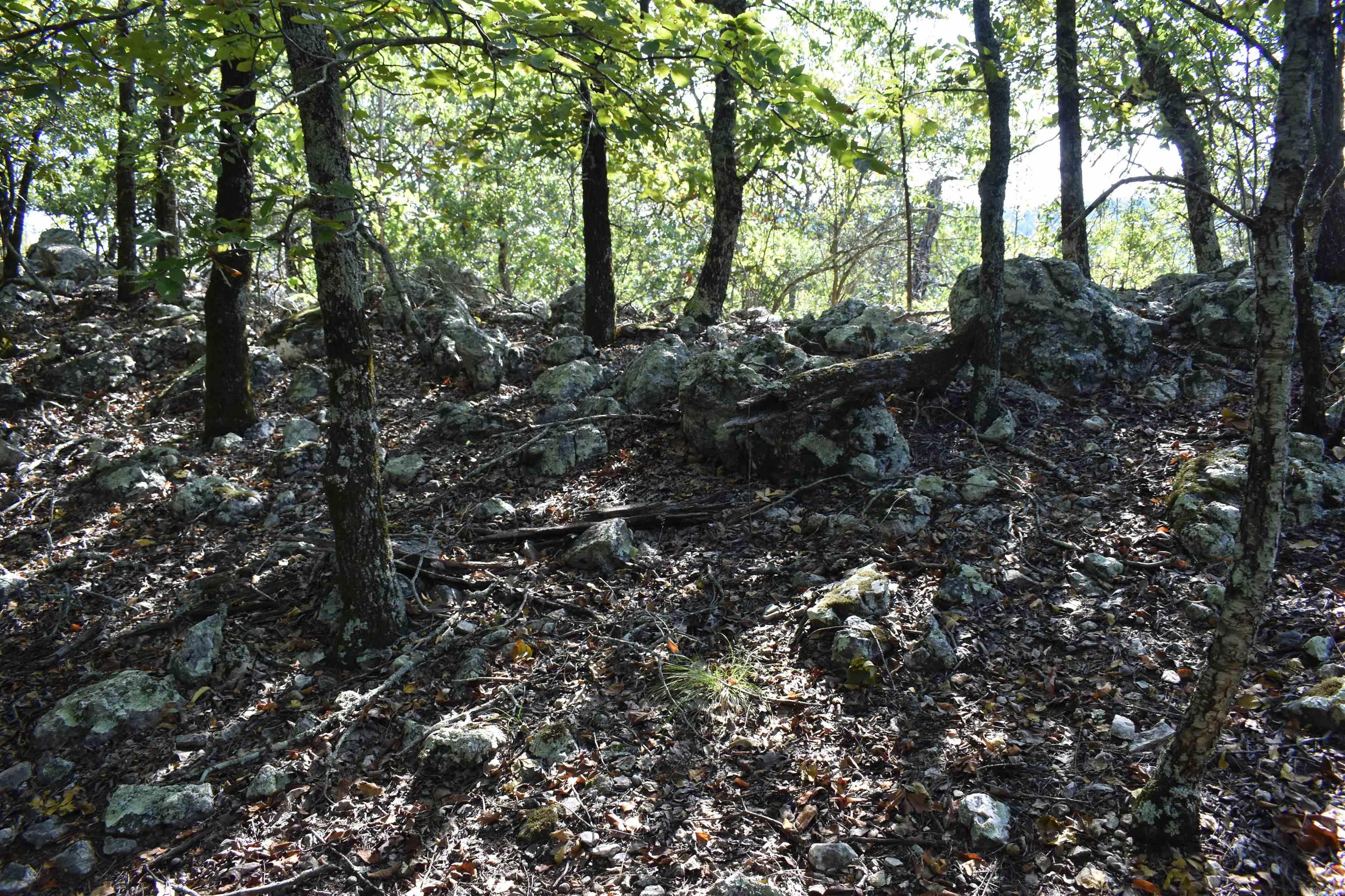 374 Leisure Terrace Hot Springs, AR 71901