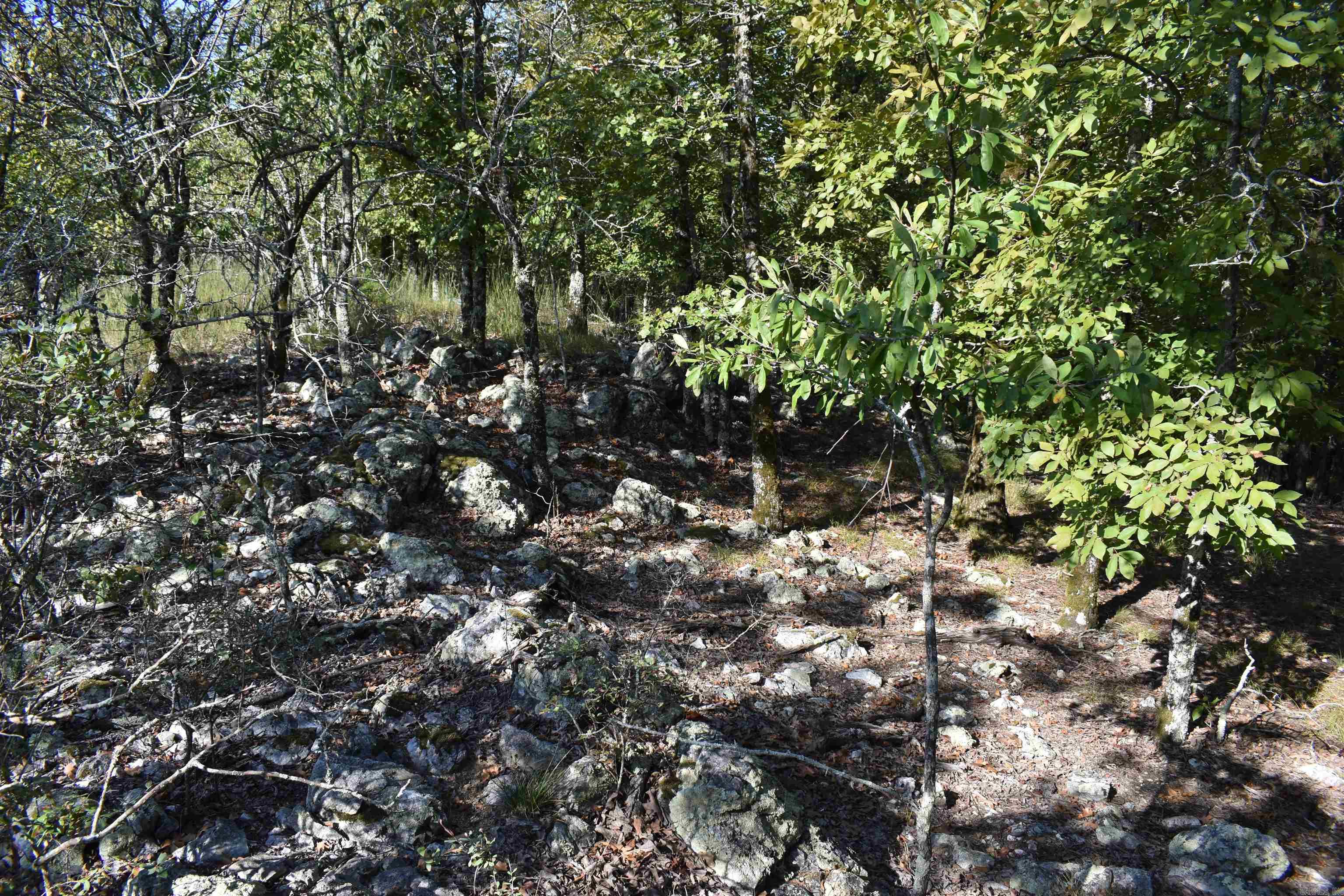 374 Leisure Terrace Hot Springs, AR 71901