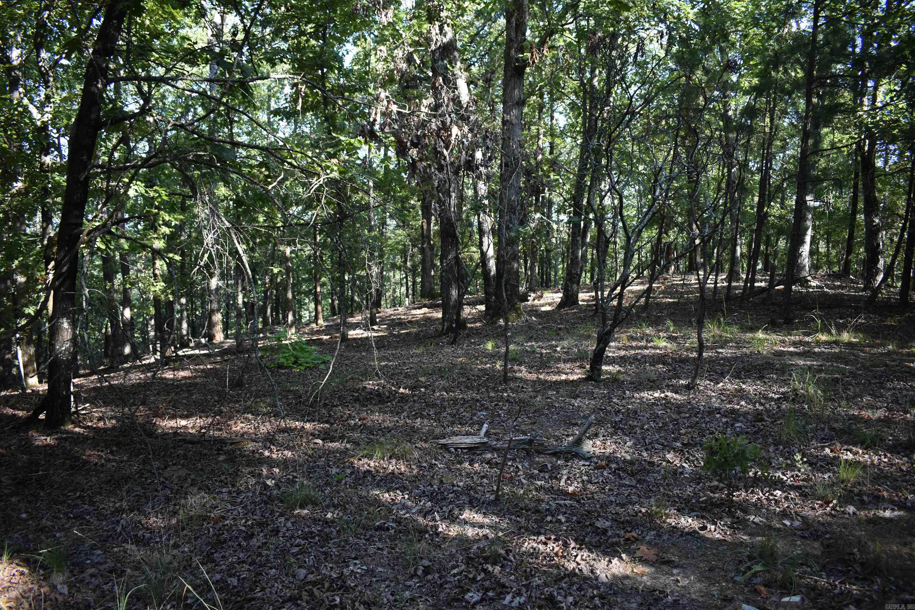 374 Leisure Terrace Hot Springs, AR 71901