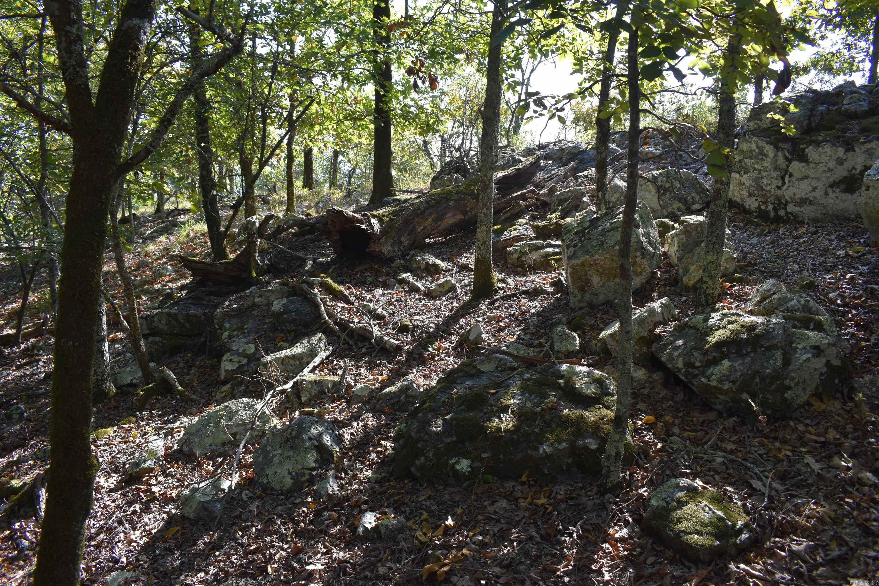 374 Leisure Terrace Hot Springs, AR 71901