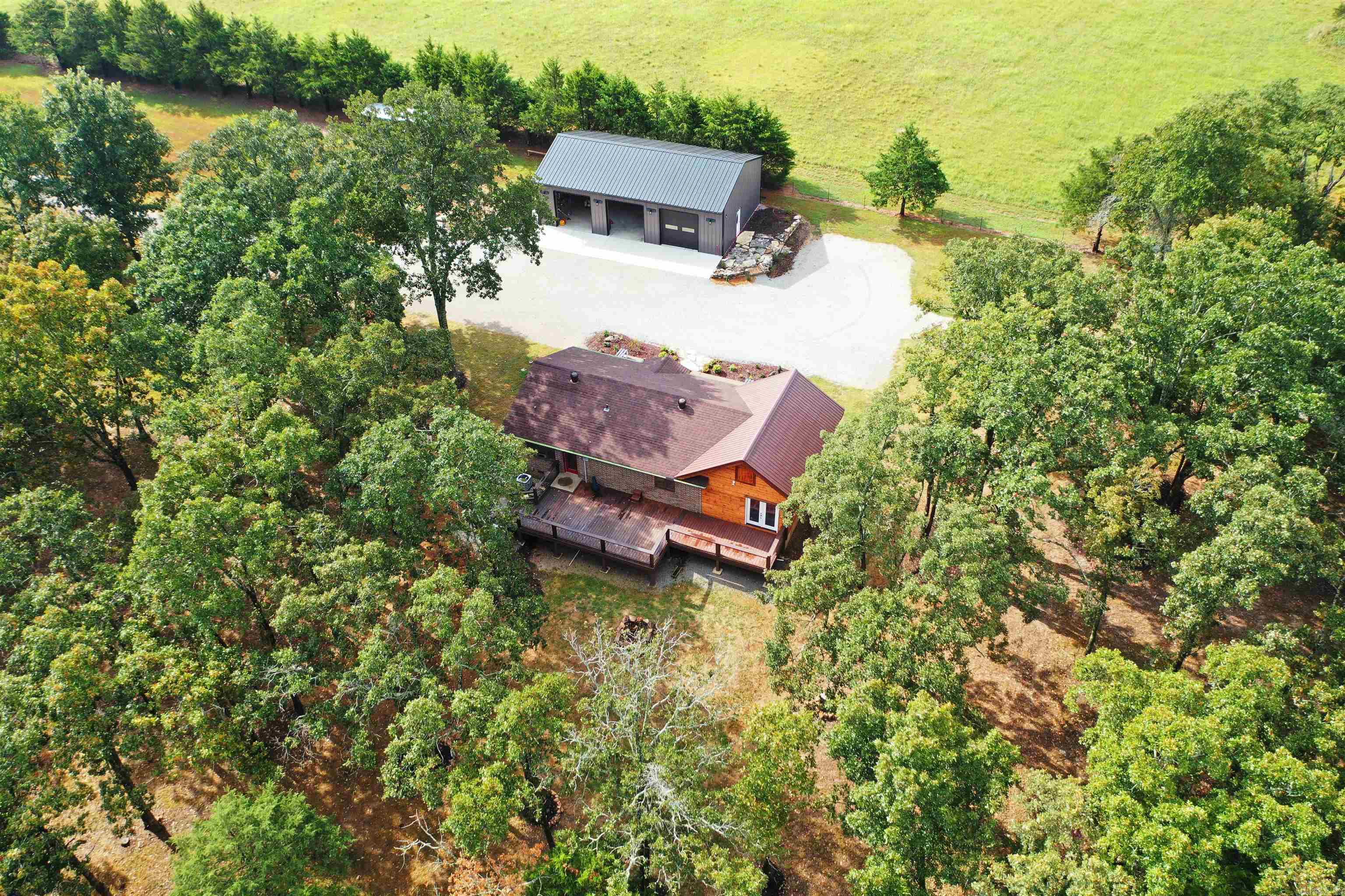 90  Brahma  Mountain Home, AR